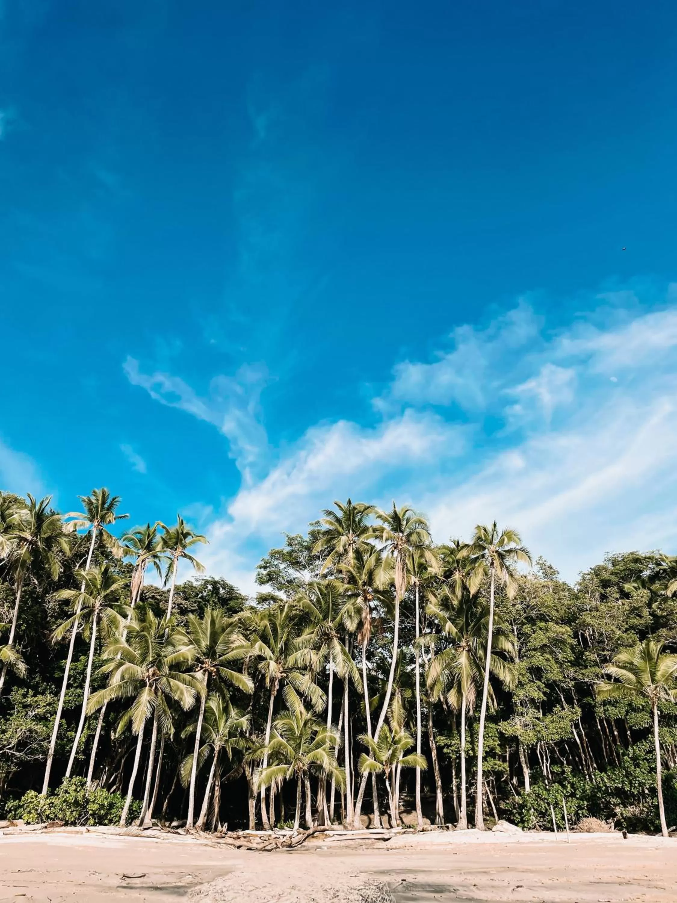 Natural landscape in Saboga Lodge
