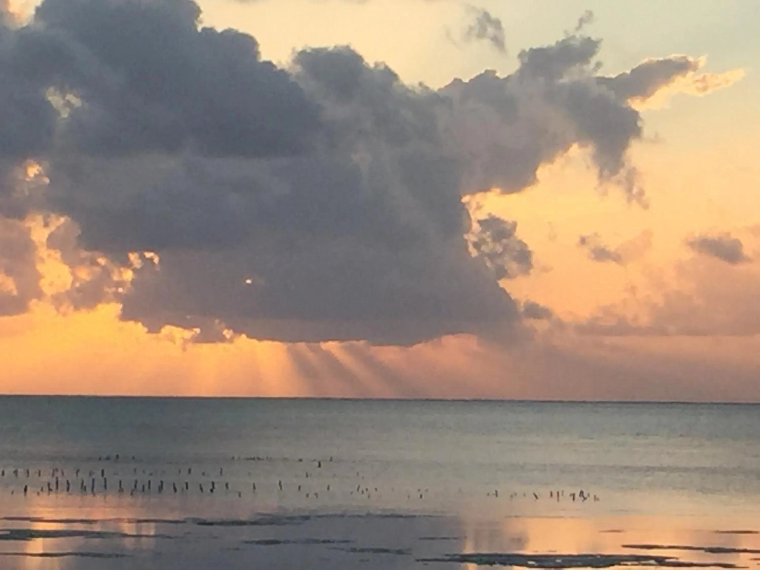 Sea view in Sea View Lodge Boutique Hotel