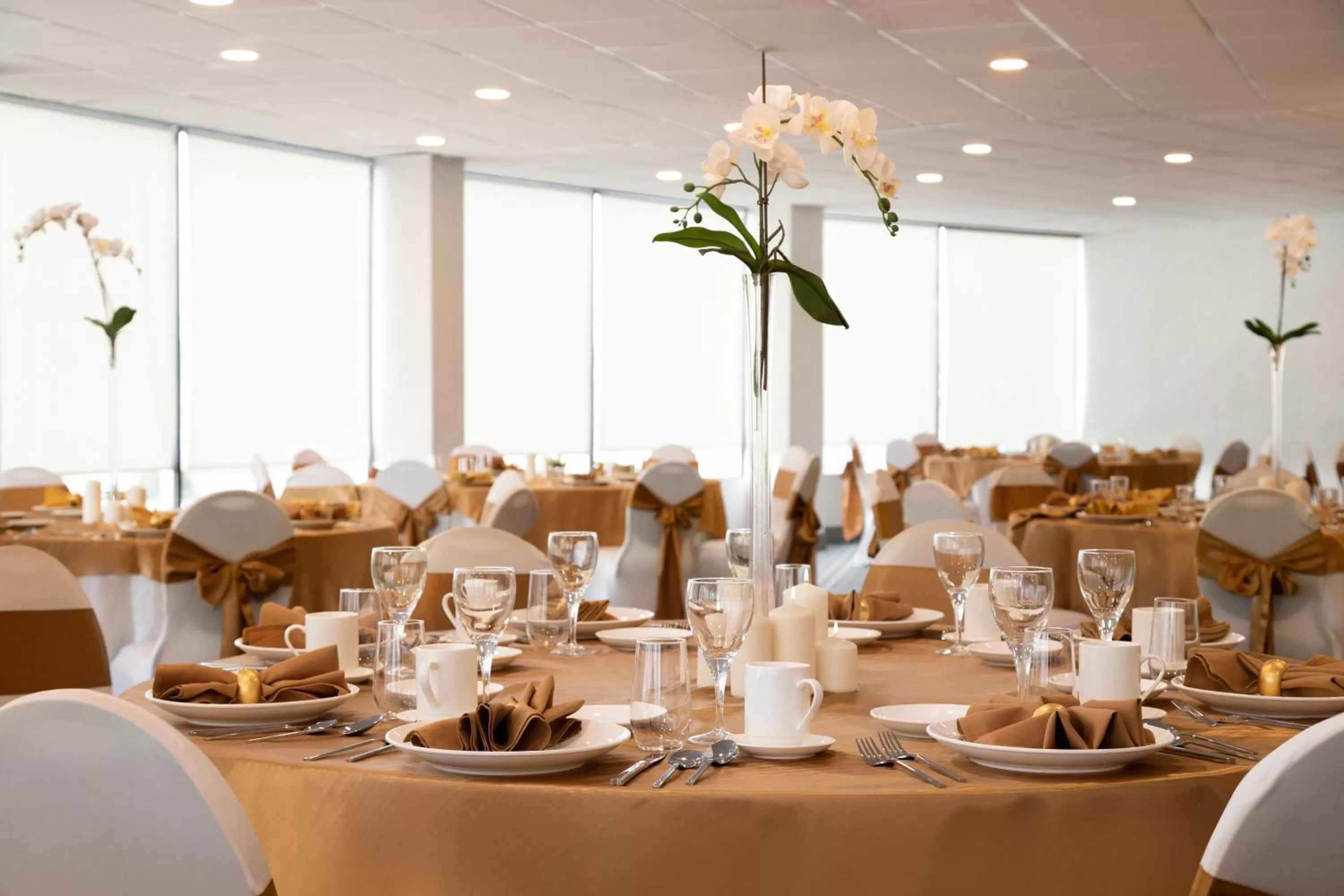 Banquet/Function facilities in Holiday Inn Philadelphia Arpt-Stadium Area by IHG