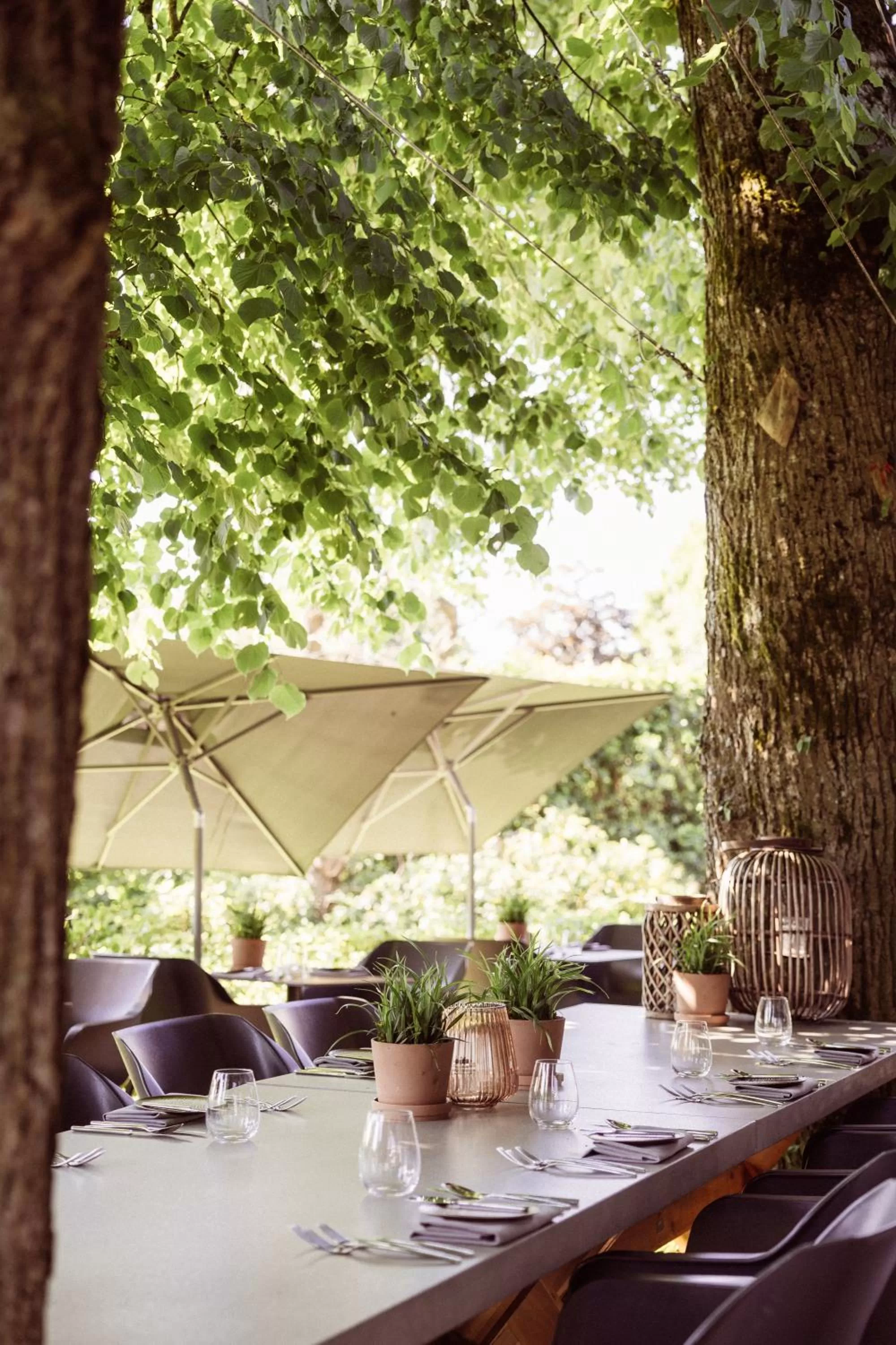 Restaurant/places to eat in Hotel de Sterrenberg - Adults Only