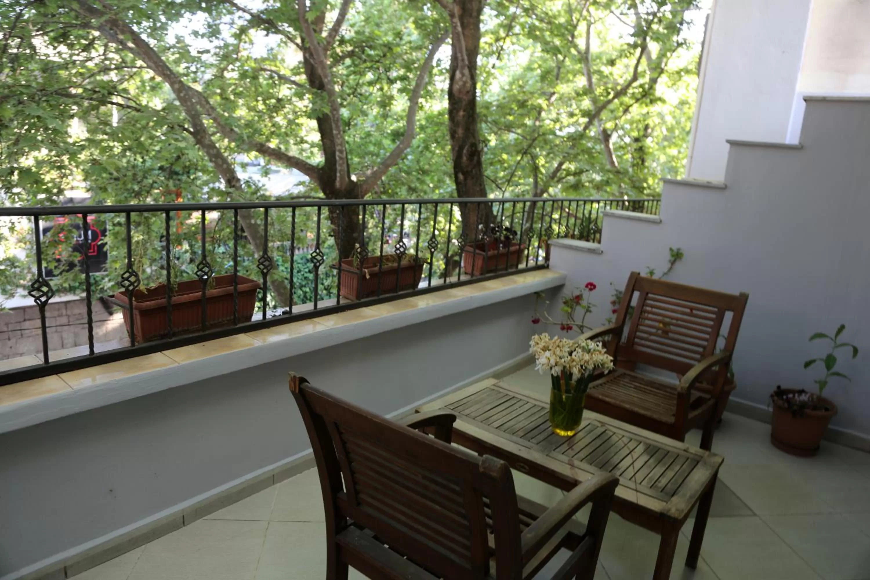 Patio, Balcony/Terrace in Hotel Millenium Tirana