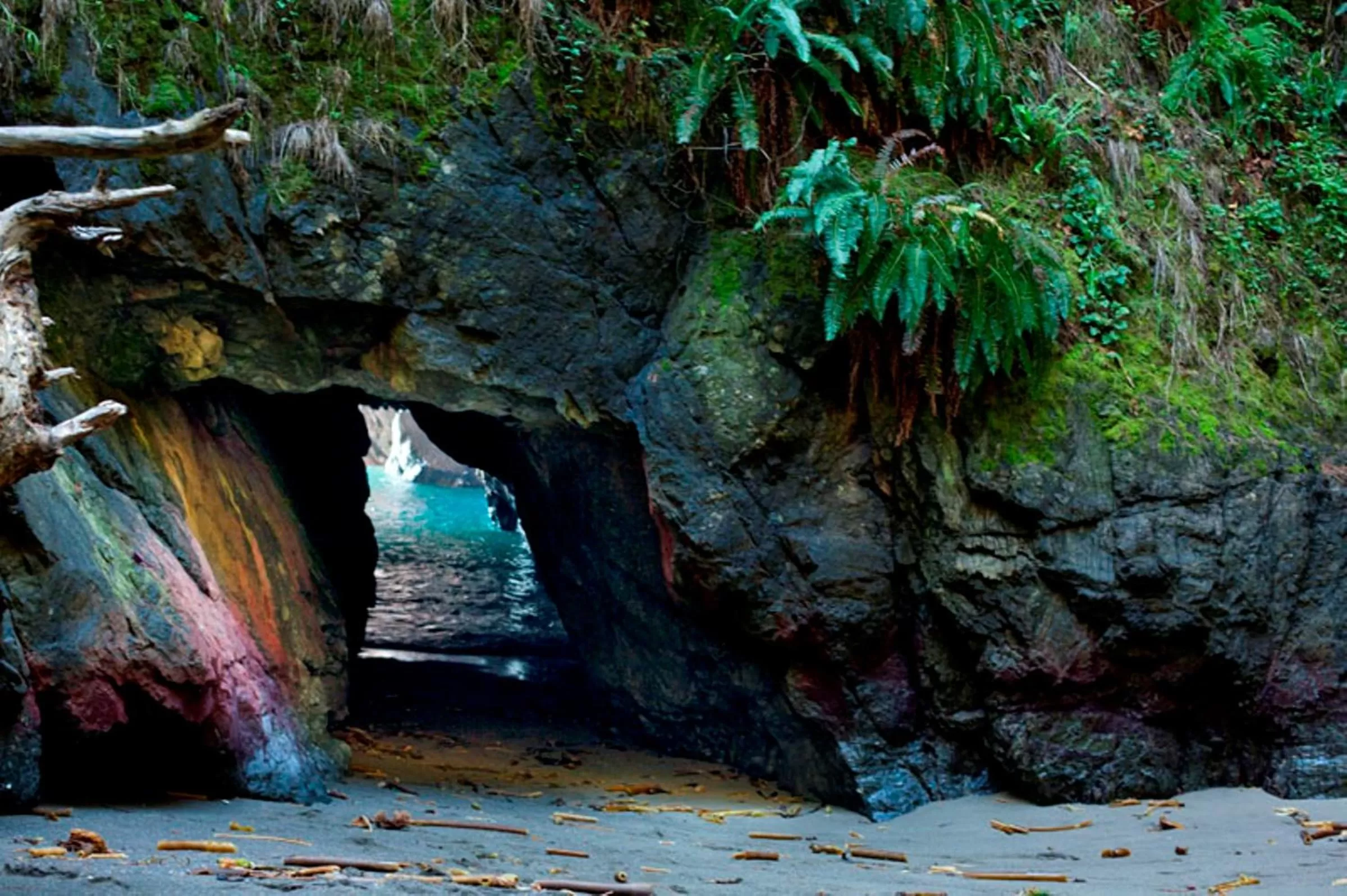 Area and facilities in Inn at Schoolhouse Creek