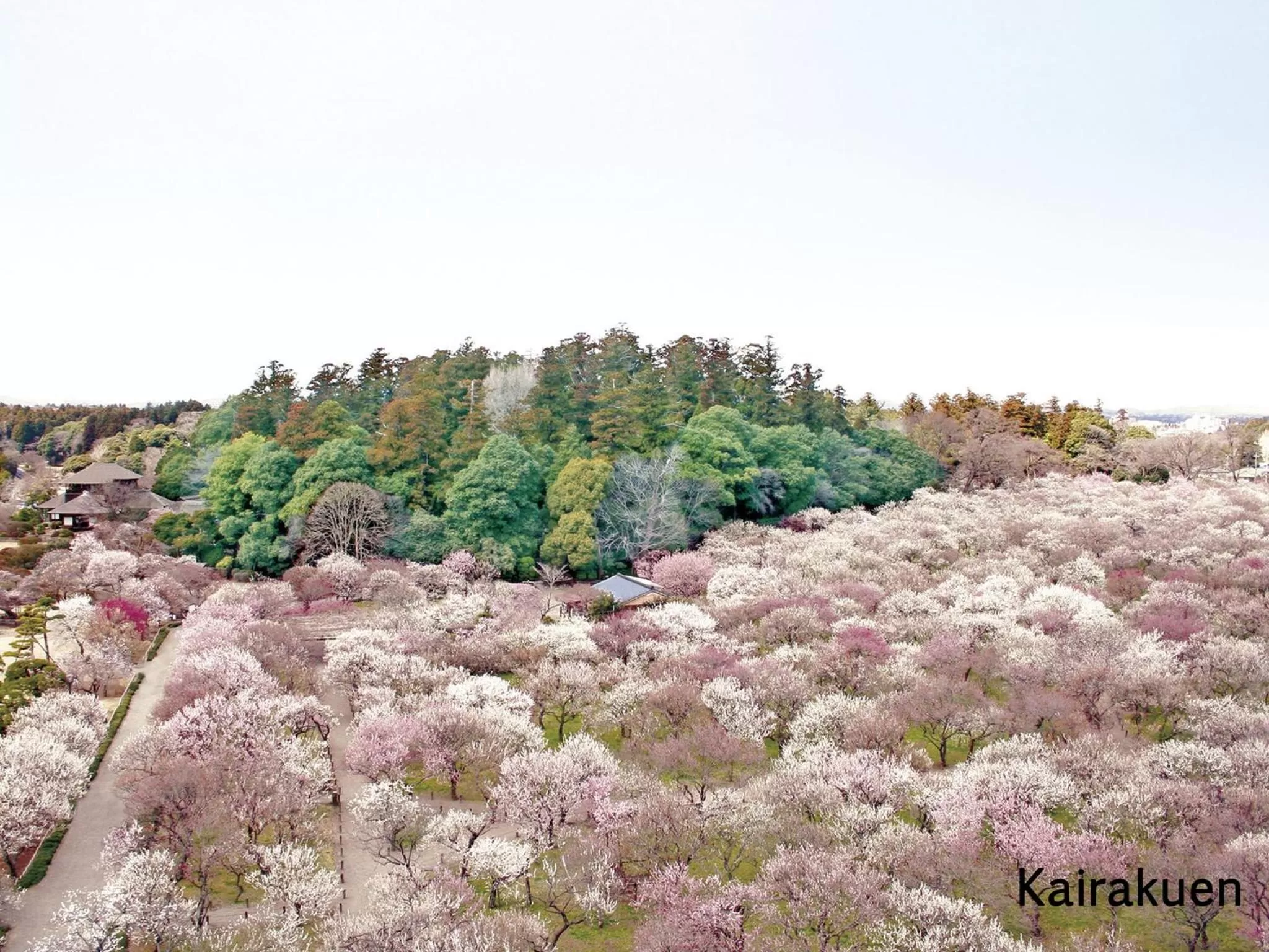 Day in Mito Keisei Hotel