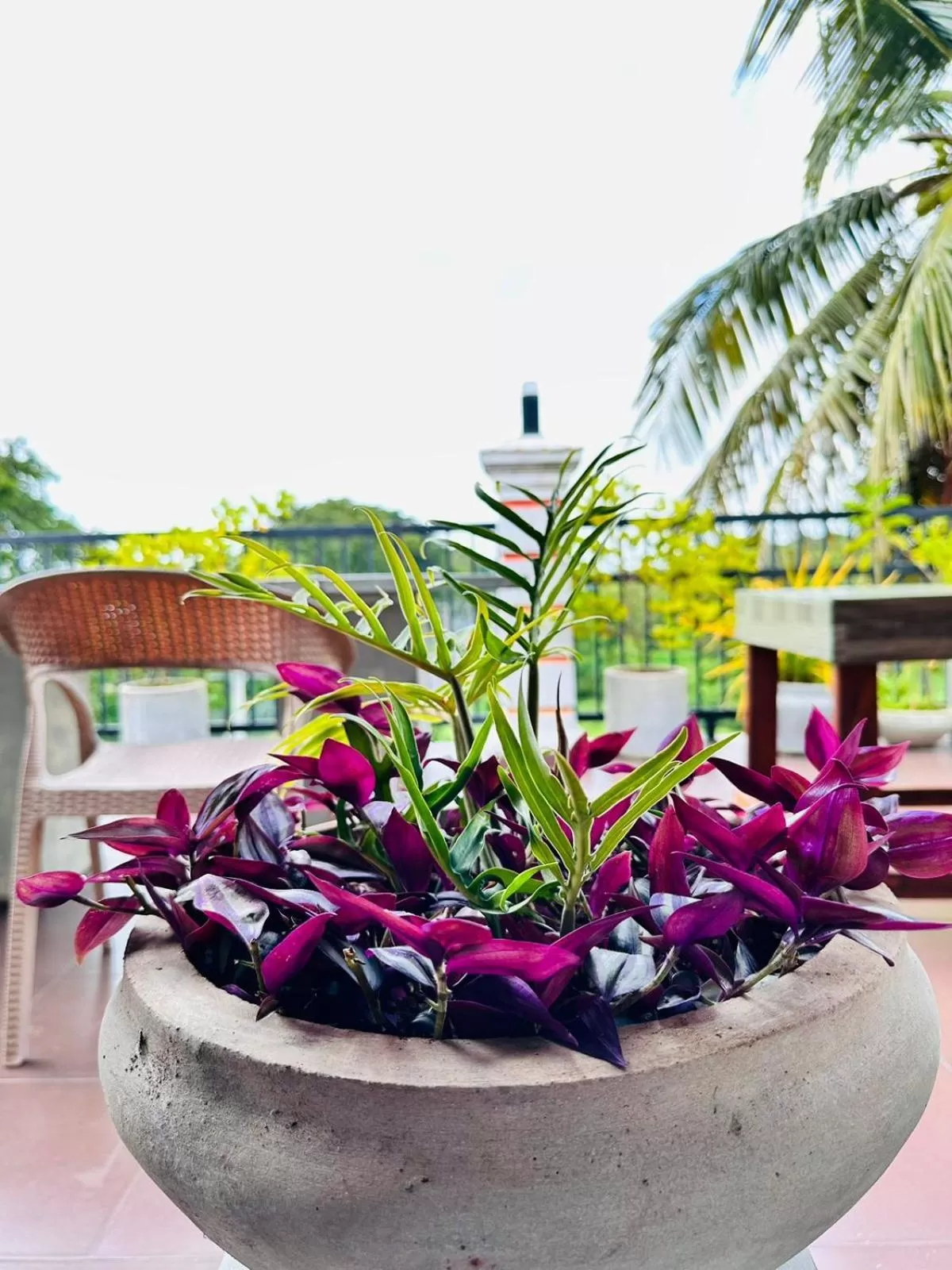 View (from property/room) in Otha Shy Airport Transit Hotel