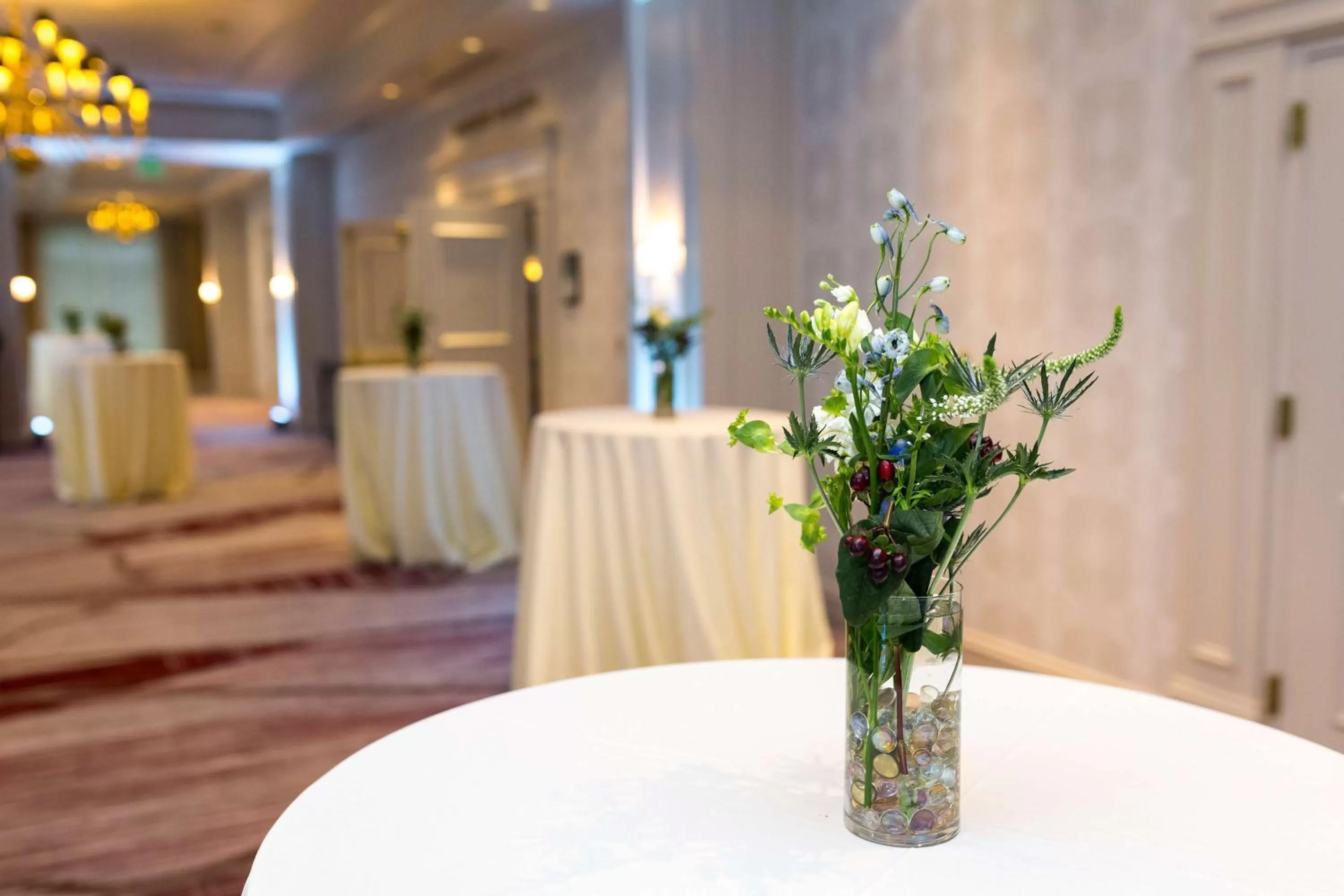 Meeting/conference room in Hilton Garden Inn Suffolk Riverfront