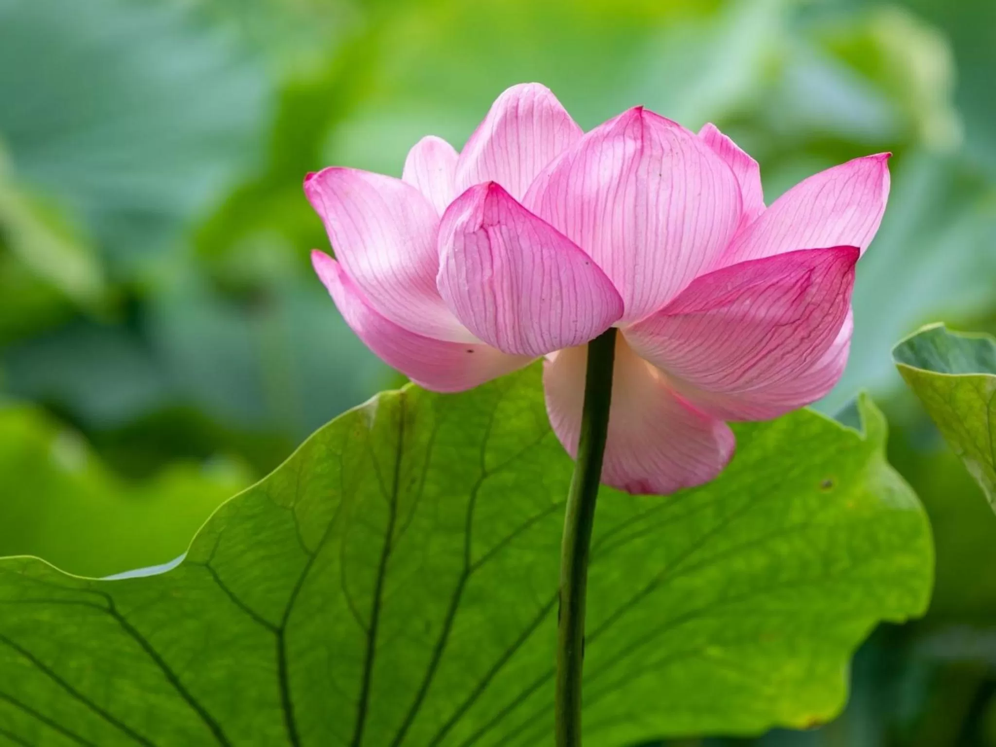 Nearby landmark in Odawara Terminal Hotel