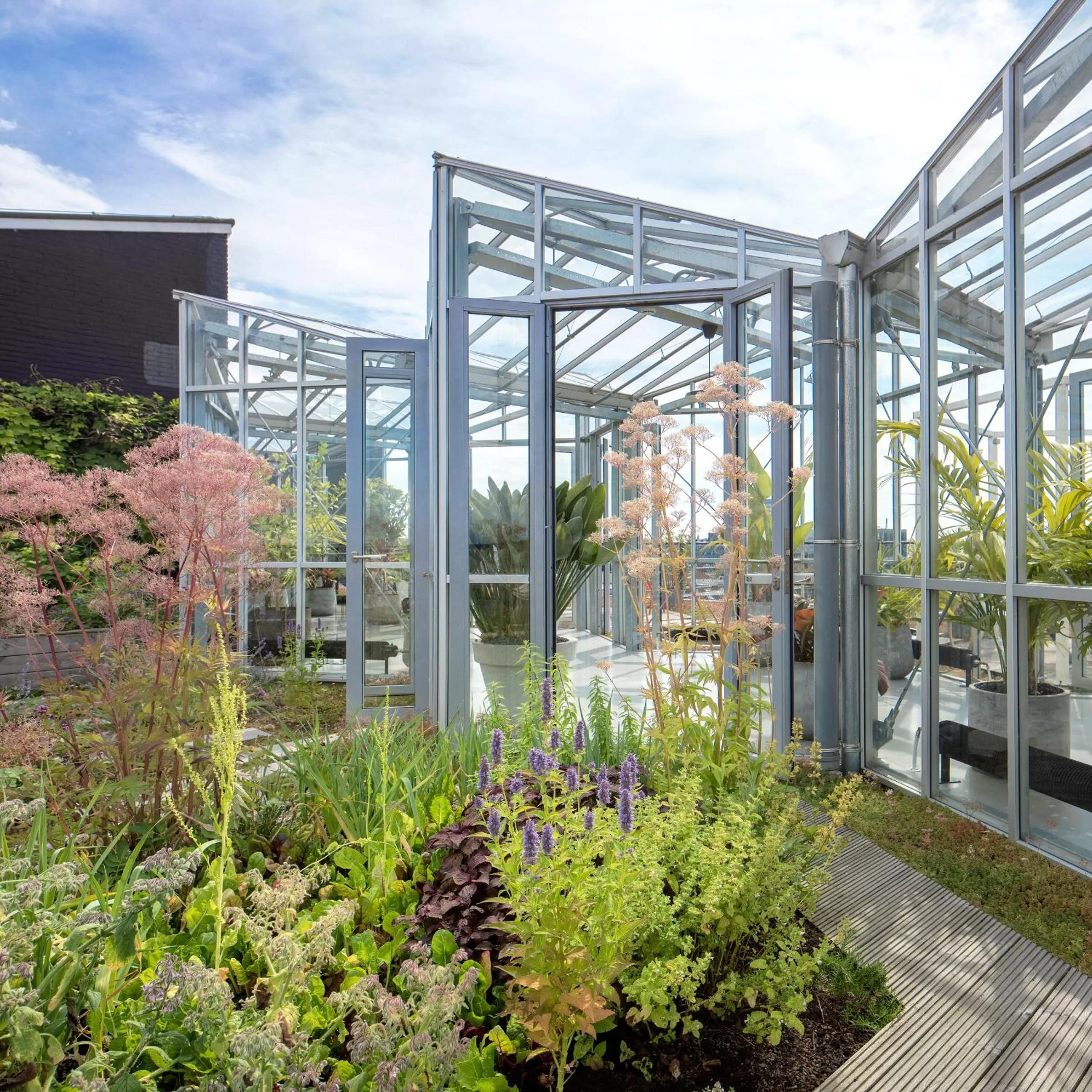 Garden in Zoku Amsterdam