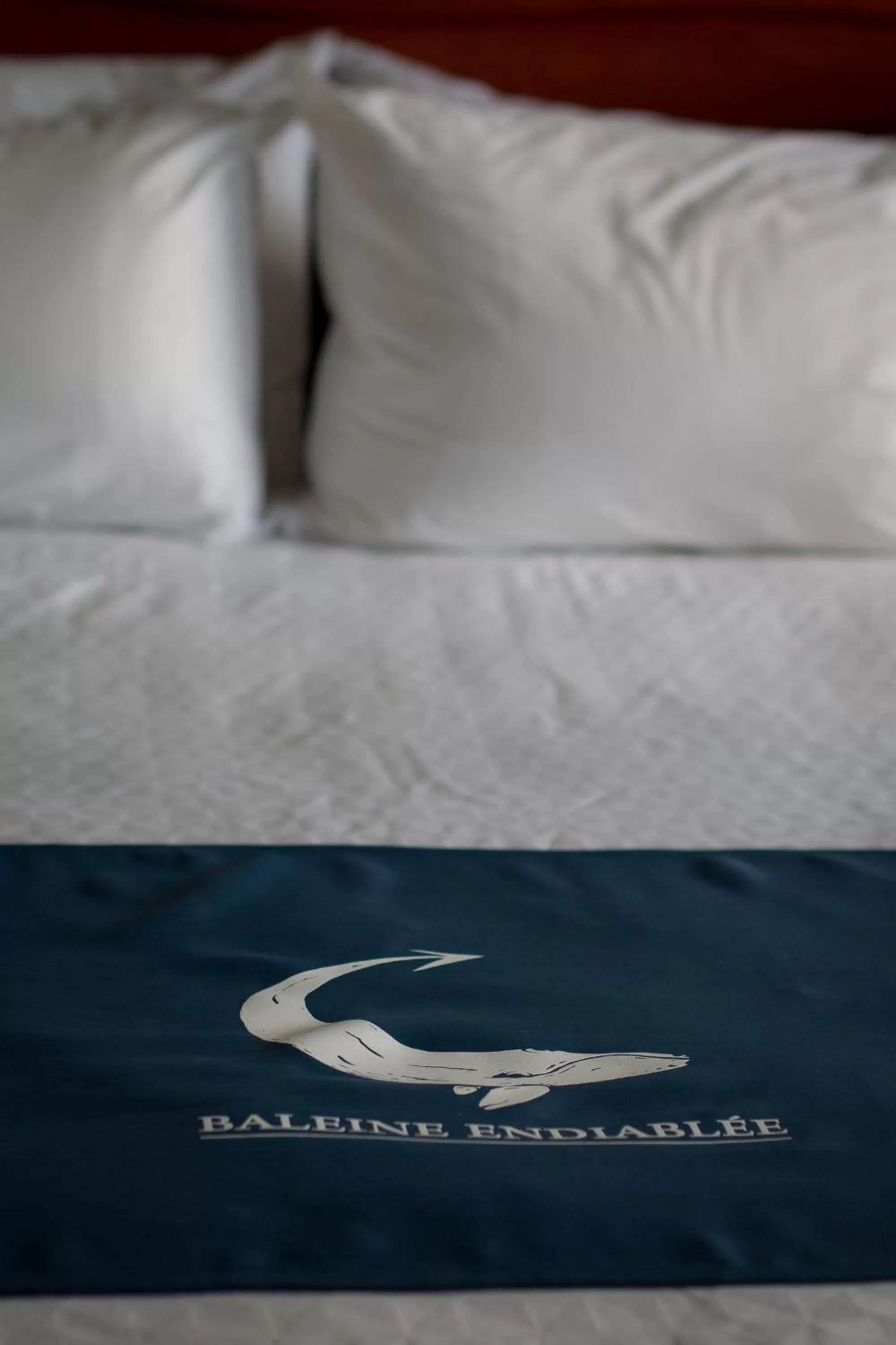 Bed in La Baleine Endiablée Microbrasserie