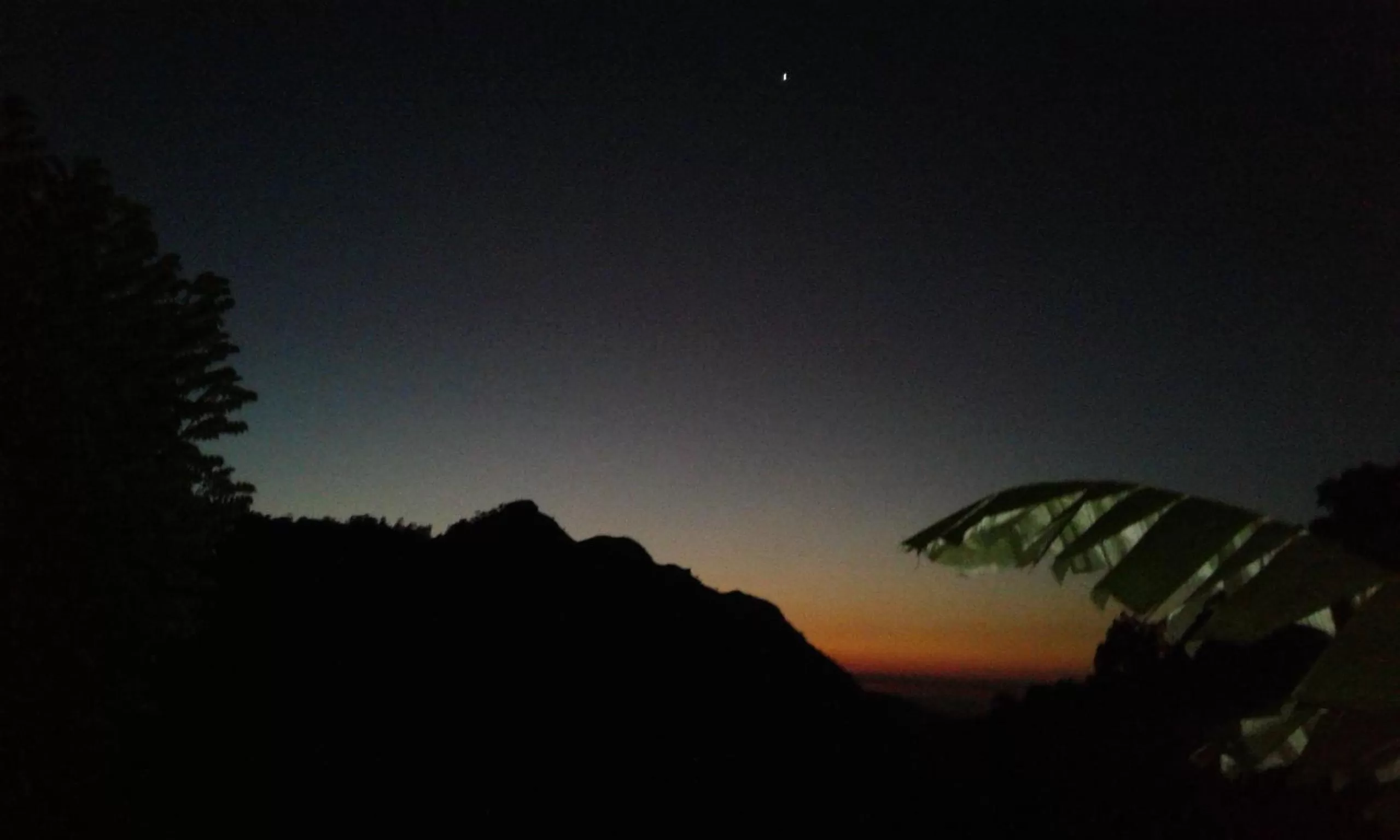 Ella Lucky Panoramic