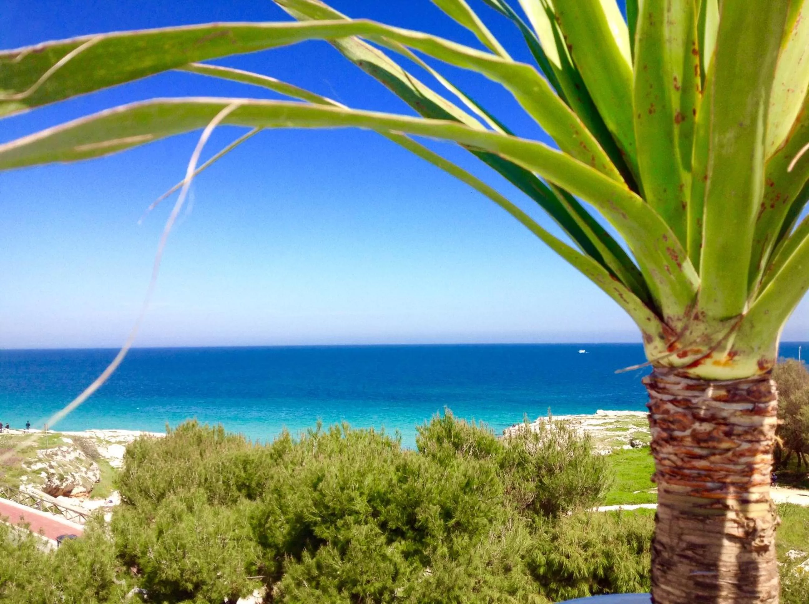 Natural landscape in Playa del Mar - Adults Only