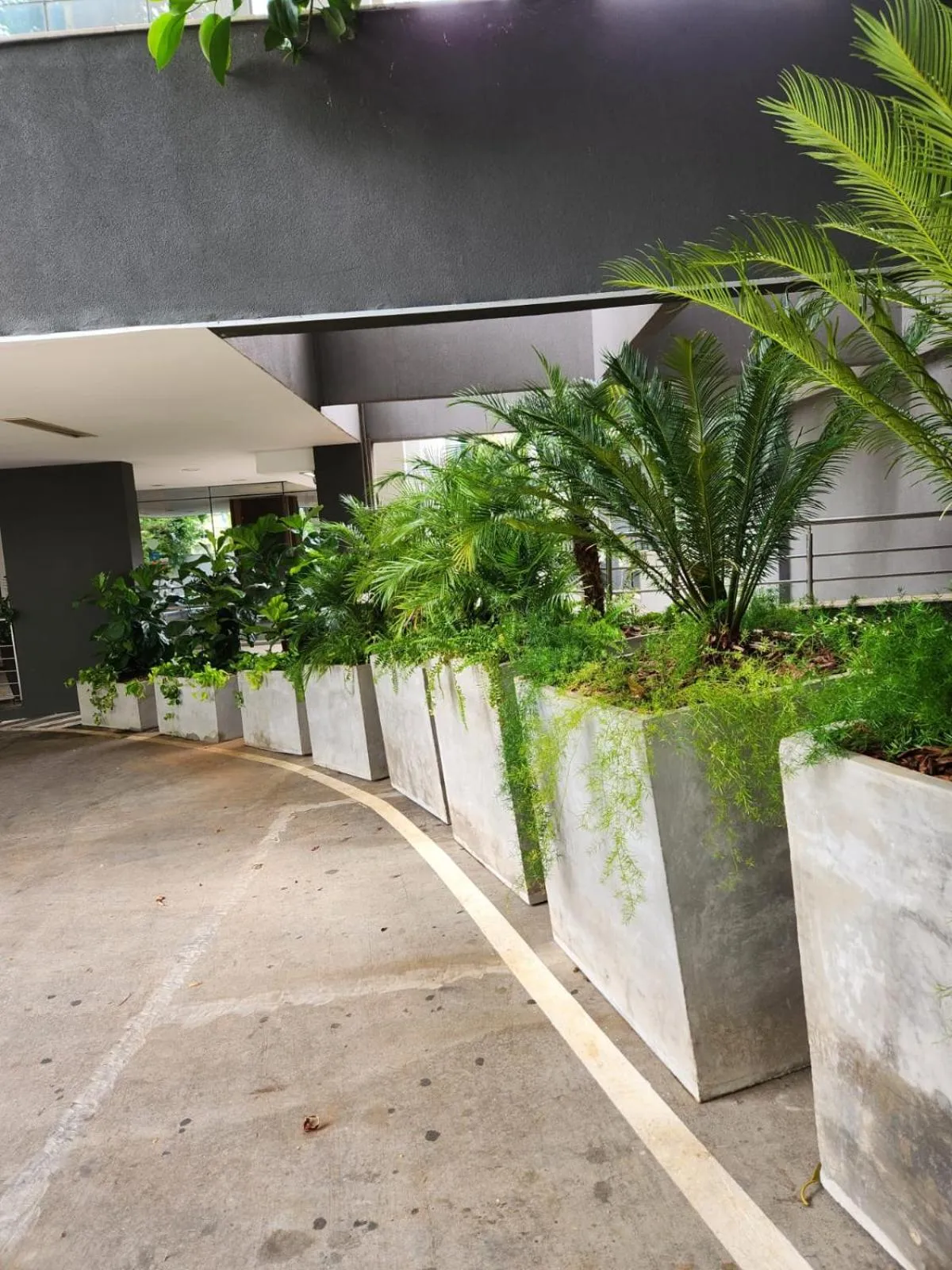 Garden in San Diego Express Barro Preto