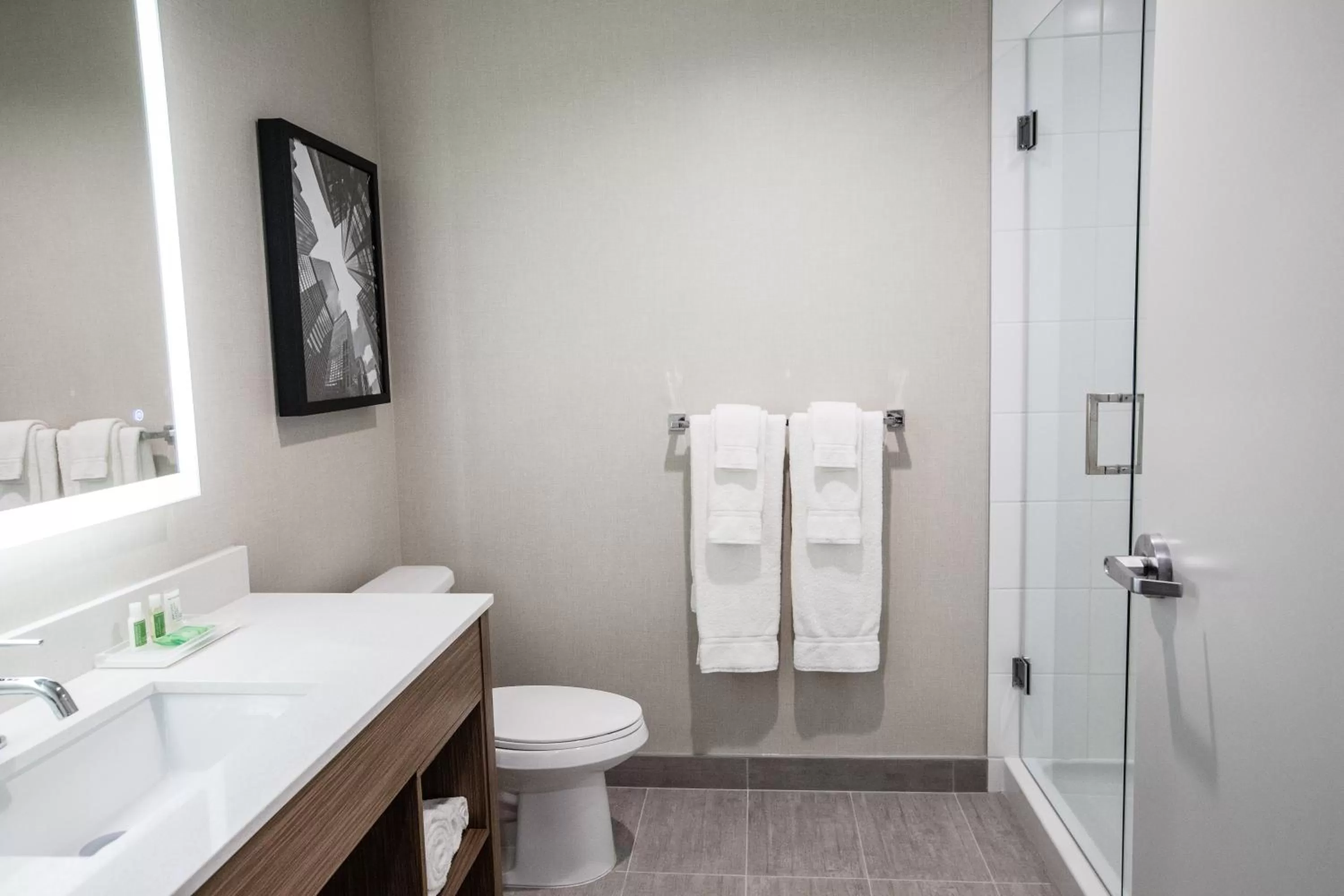Bathroom in Holiday Inn Hotel & Suites Calgary South - Conference Ctr by IHG
