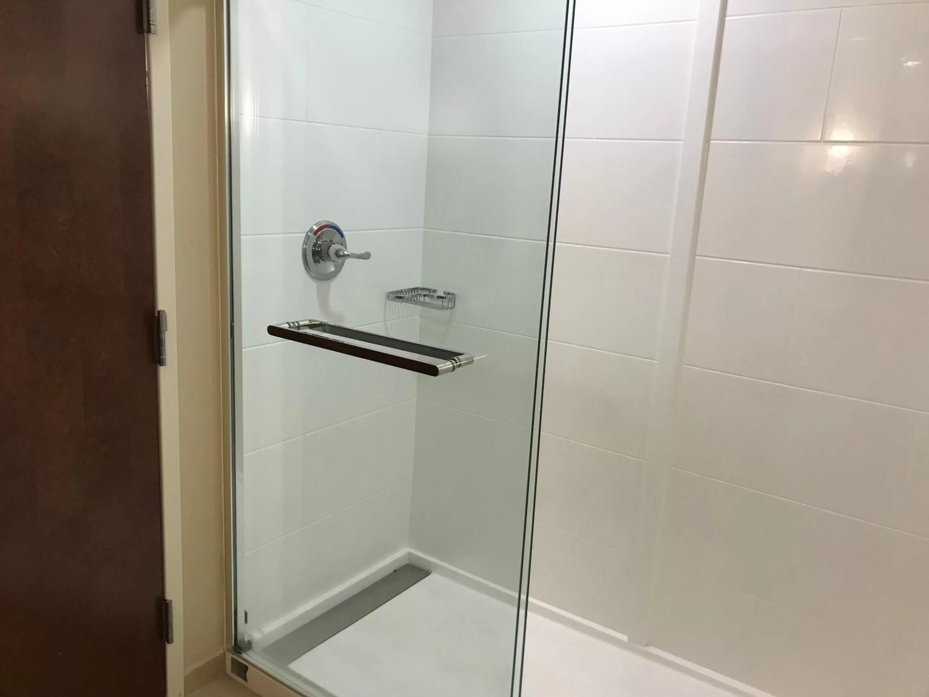 Shower in Comfort Suites Summerville North