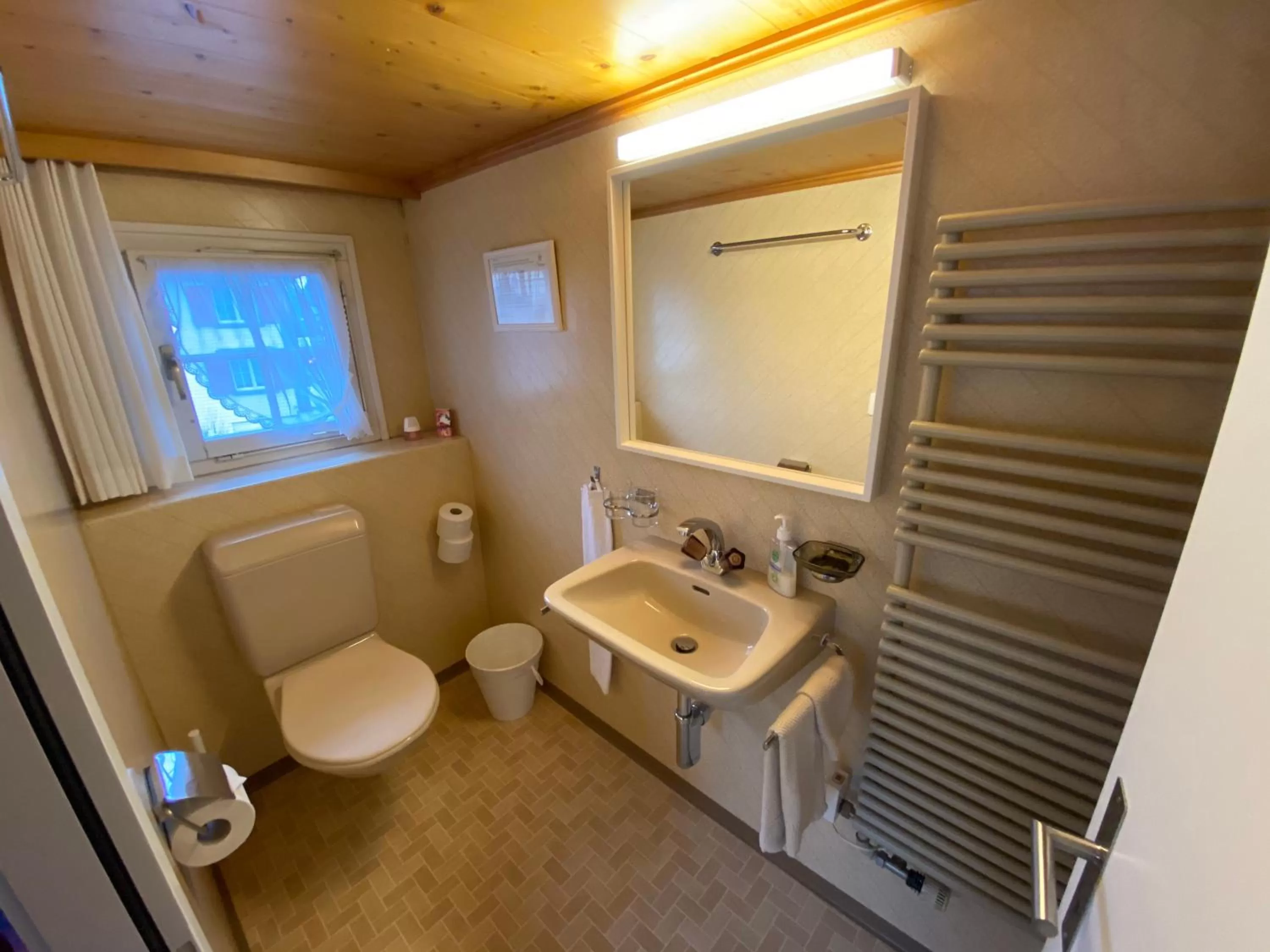 Toilet in Gasthaus Sternen