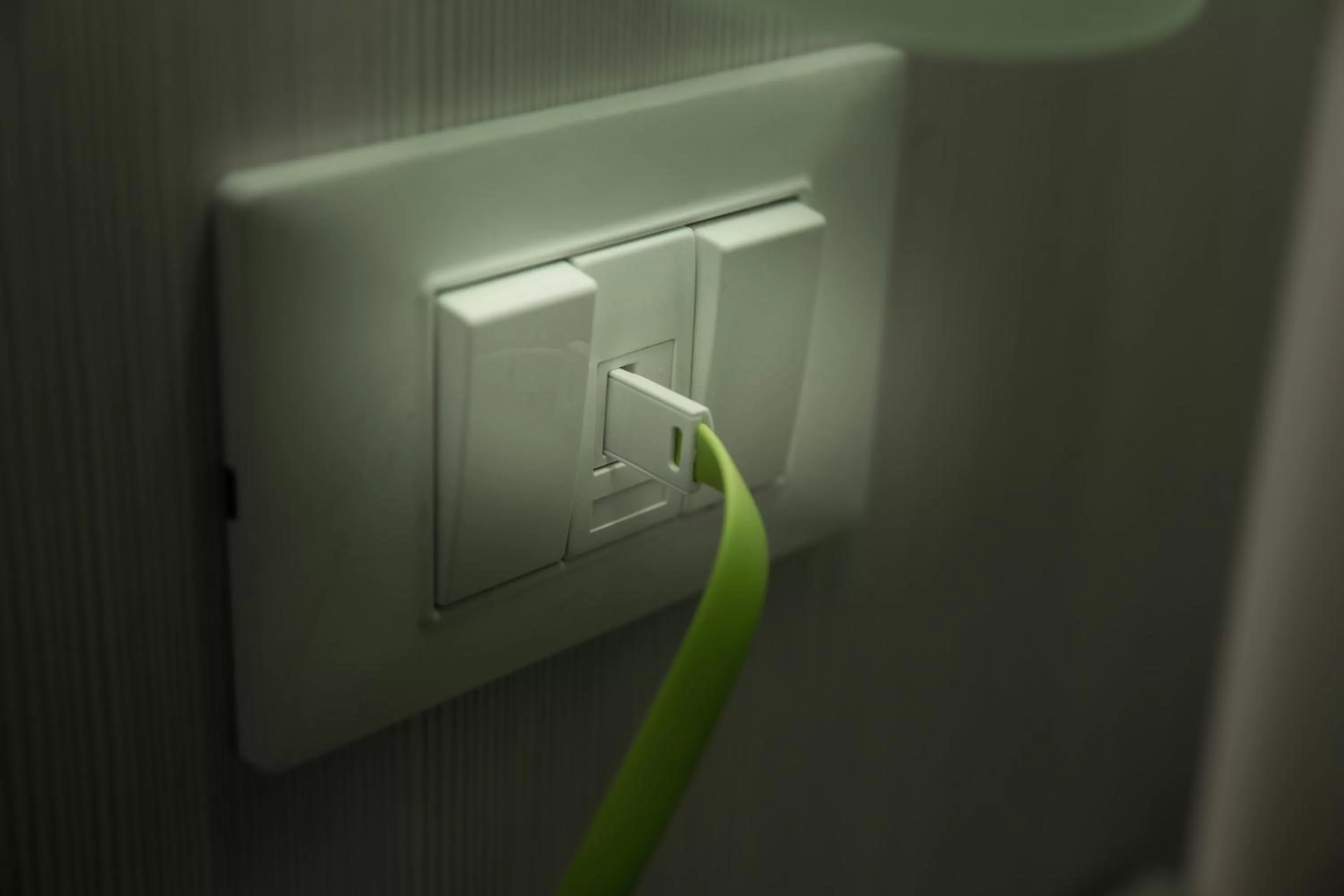 TV and multimedia in Love of Rome