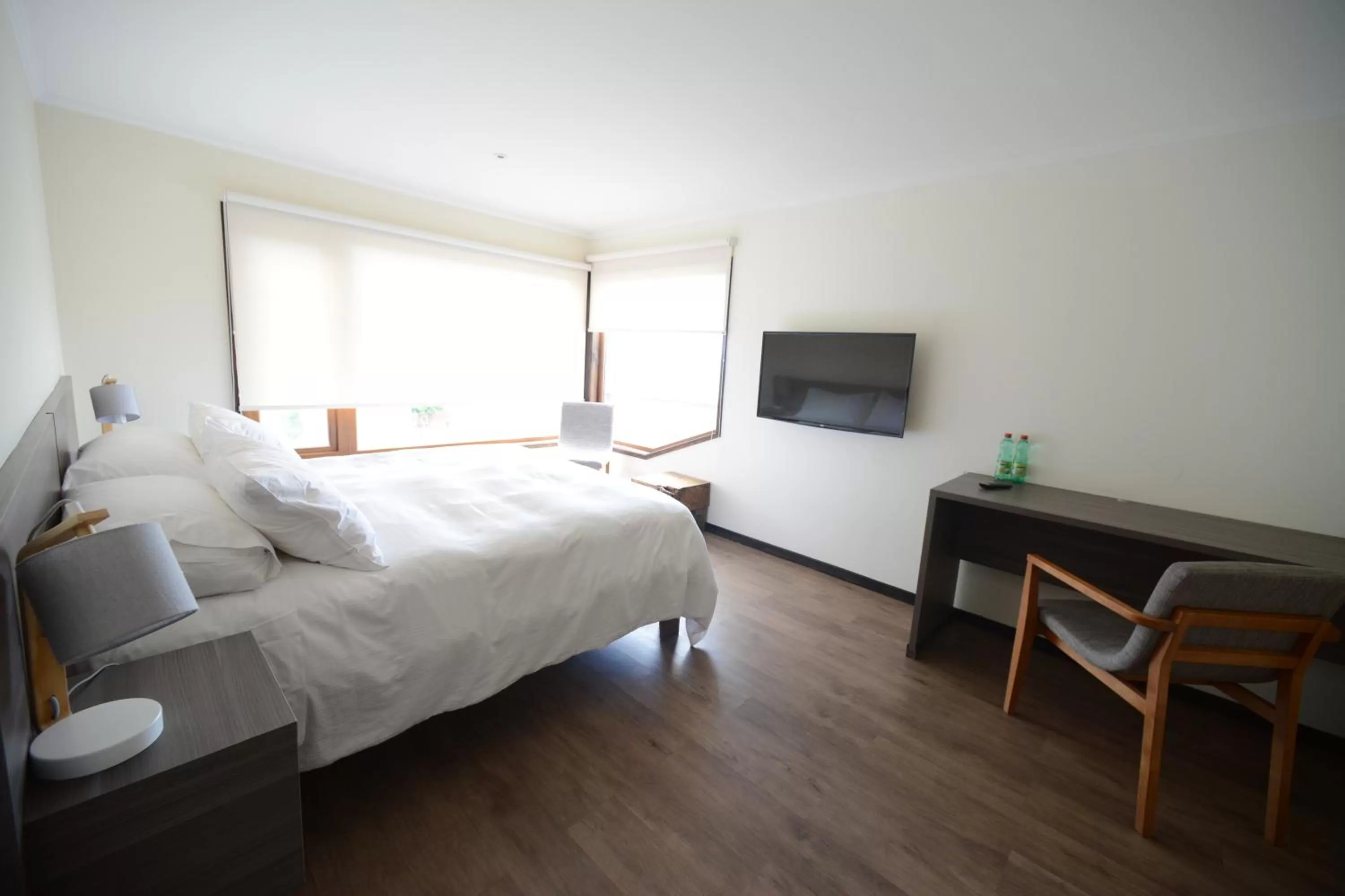 Bed in Hotel Patagonia B&B