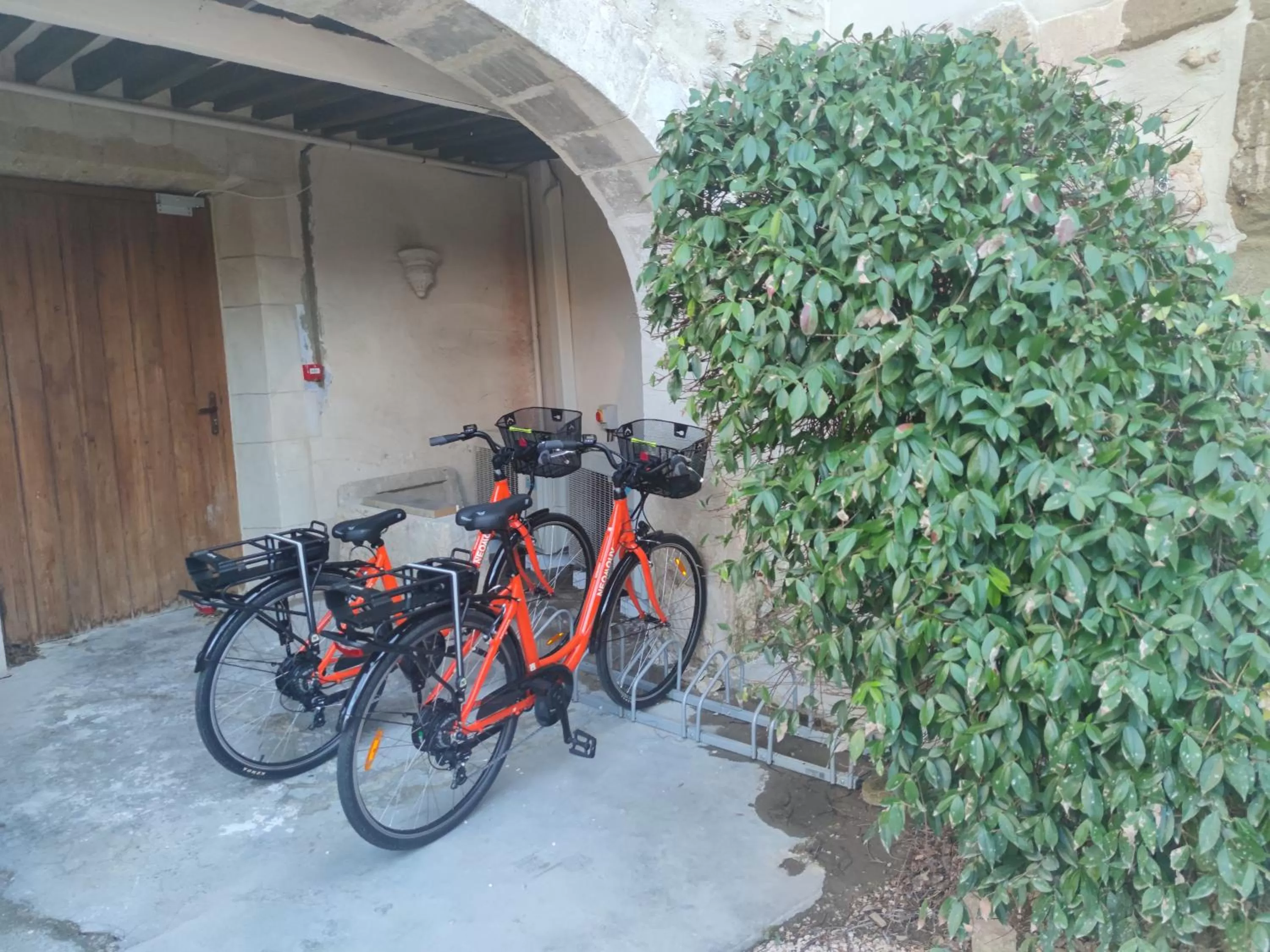 Garden in Le Clos Violette et Le 11 D'Aglaé - Hôtel de Charme Design de Luxe