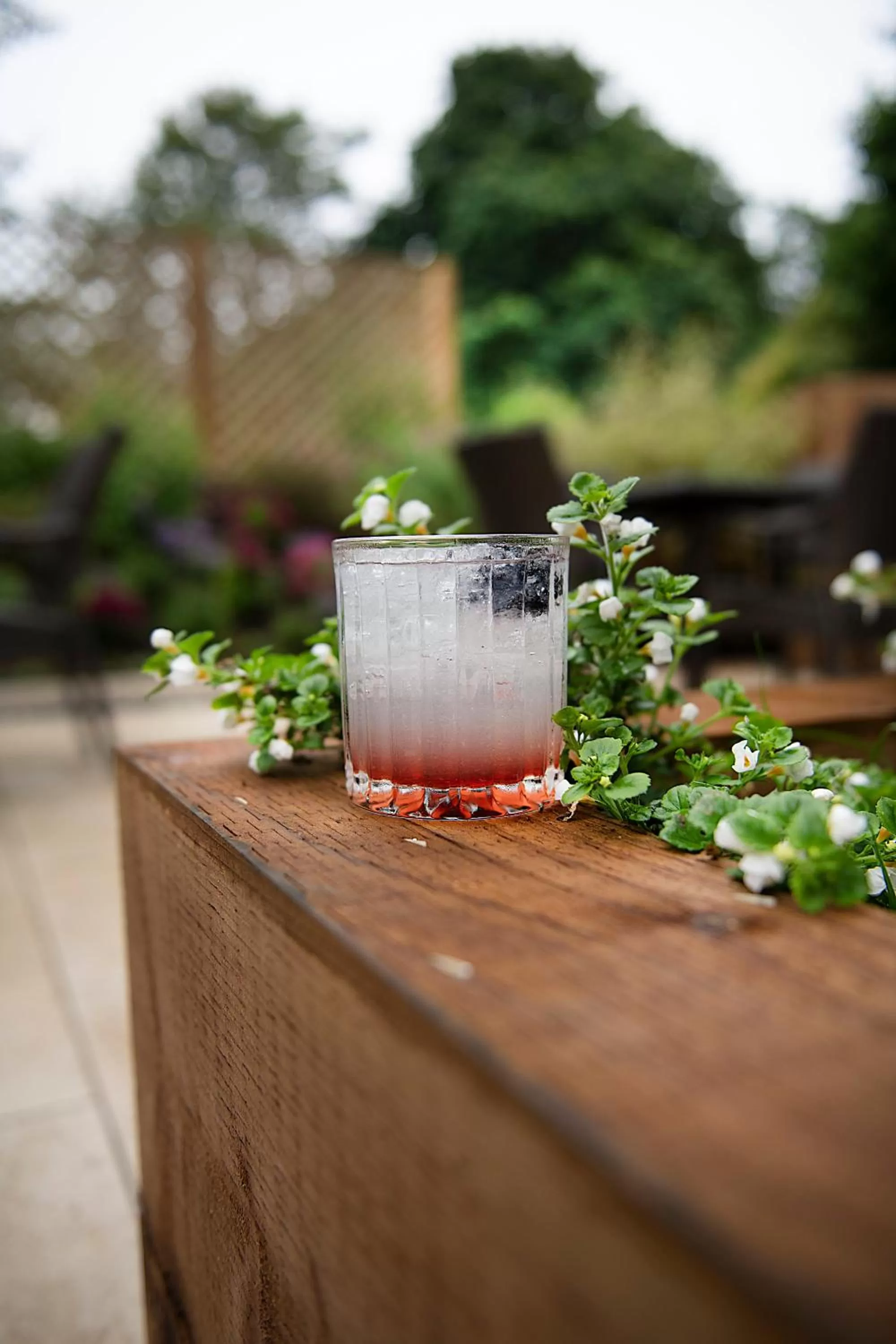 Garden in Horwood House Hotel