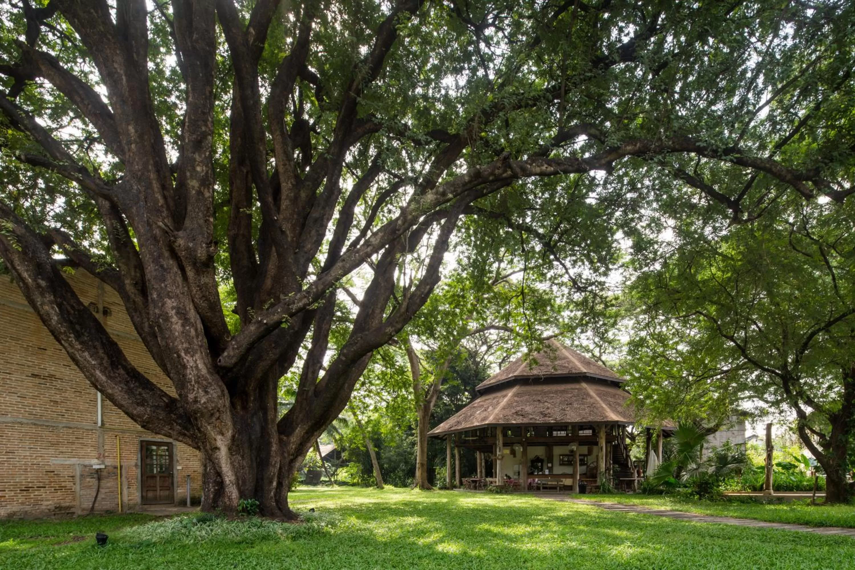 Restaurant/places to eat in Kaomai Lanna Resort