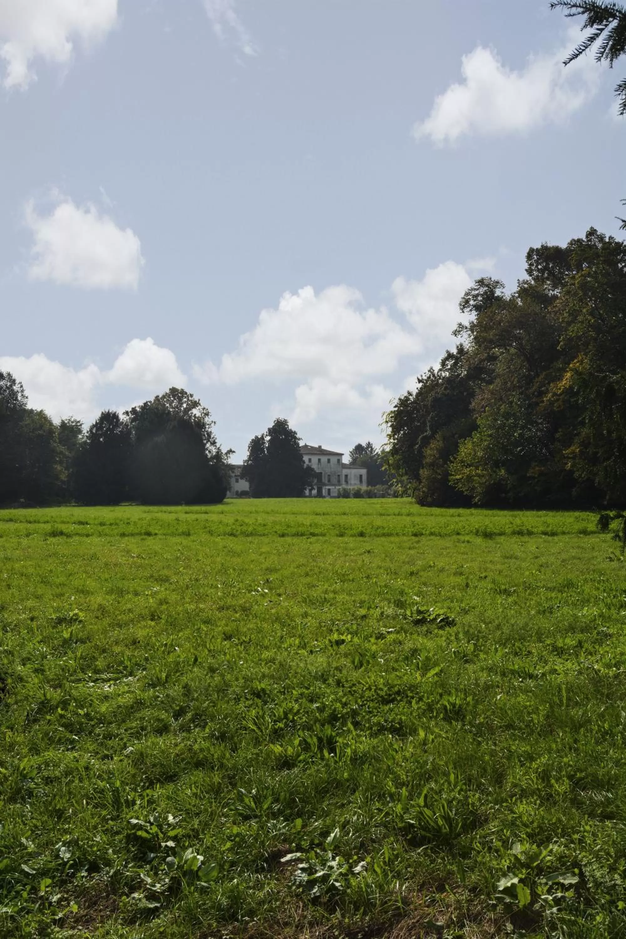 Garden in B&B Giardino Jappelli (Villa Ca' Minotto)