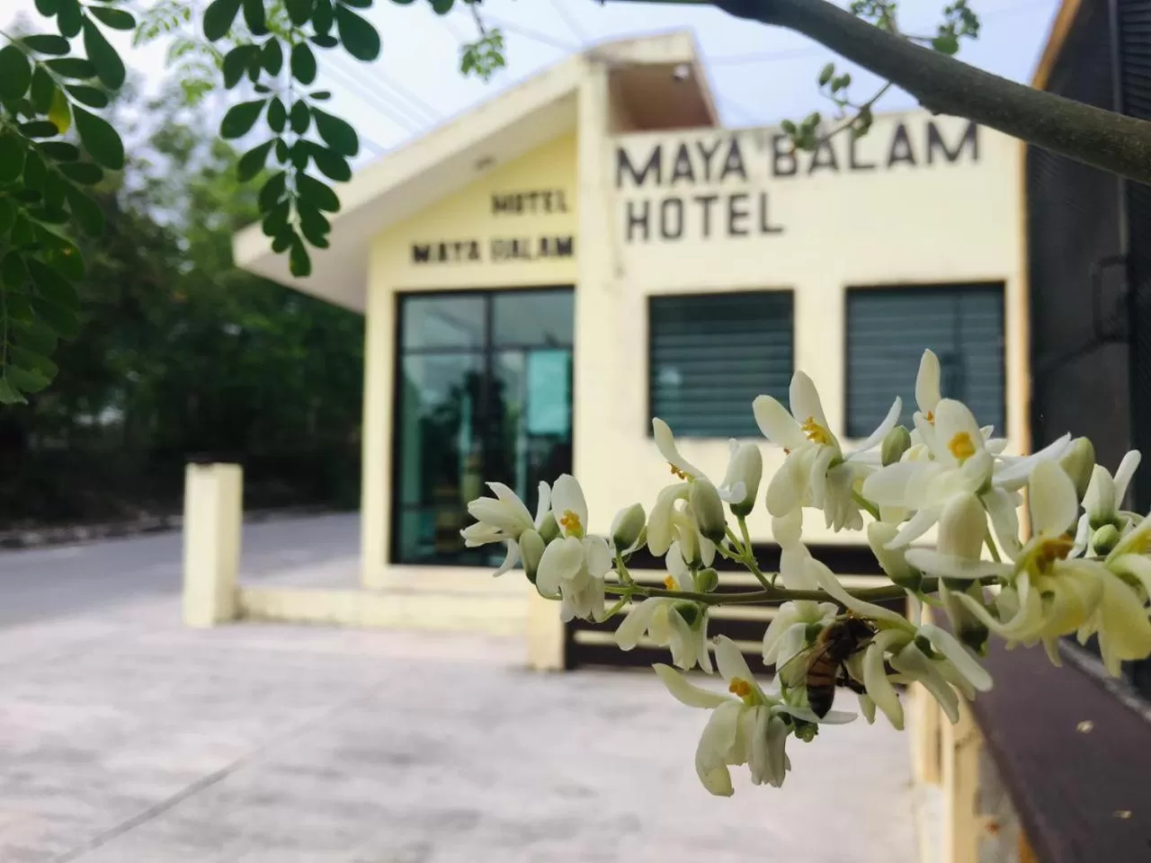 Off site in Hotel Maya Balam