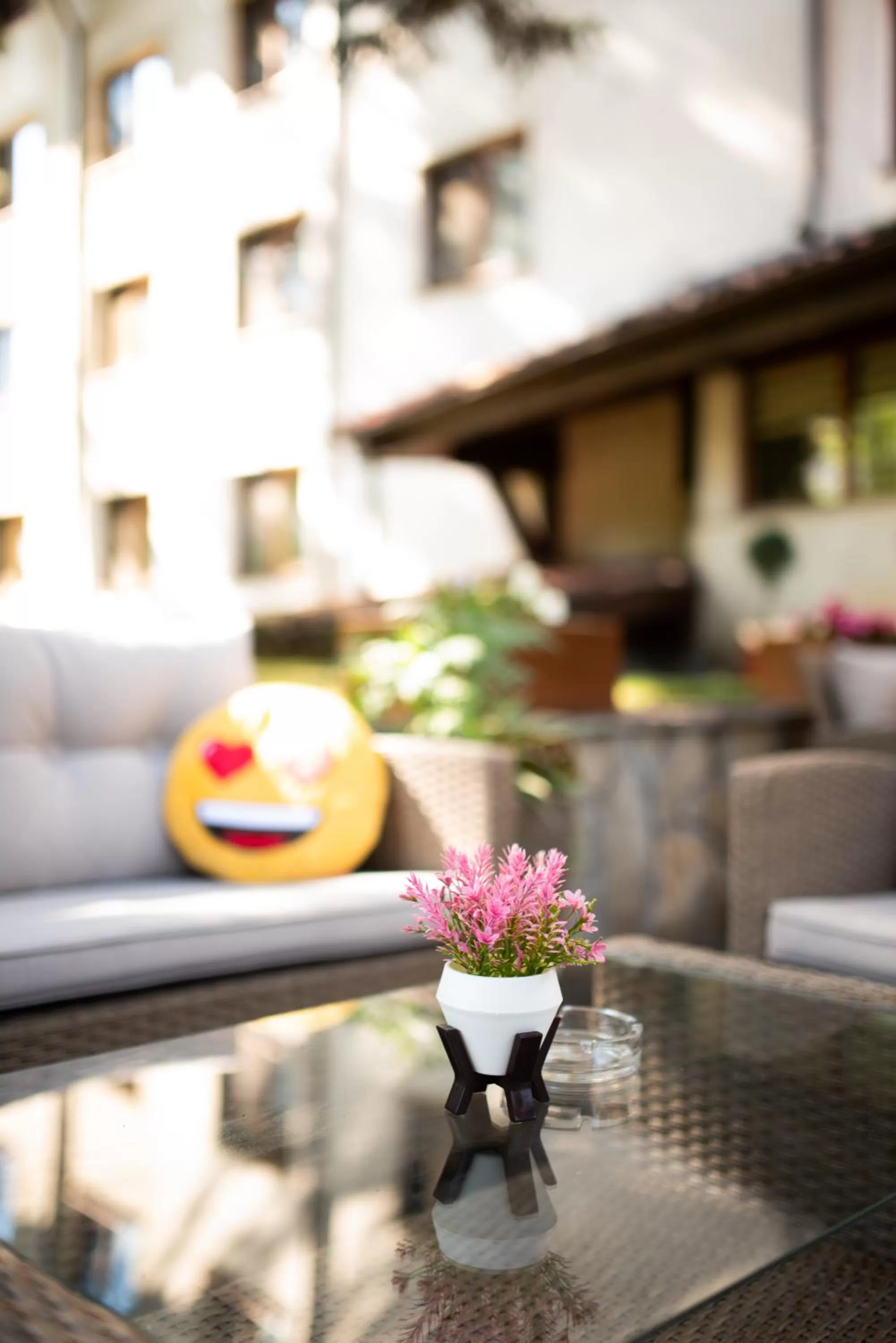 Patio in Hotel Pirin