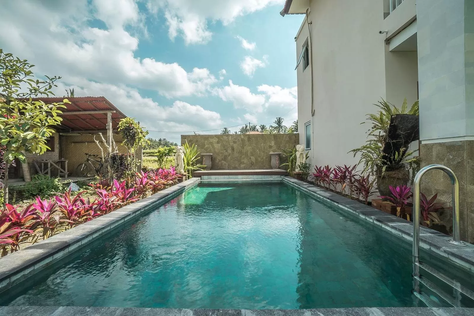 Swimming pool in Putih DCarik Ubud