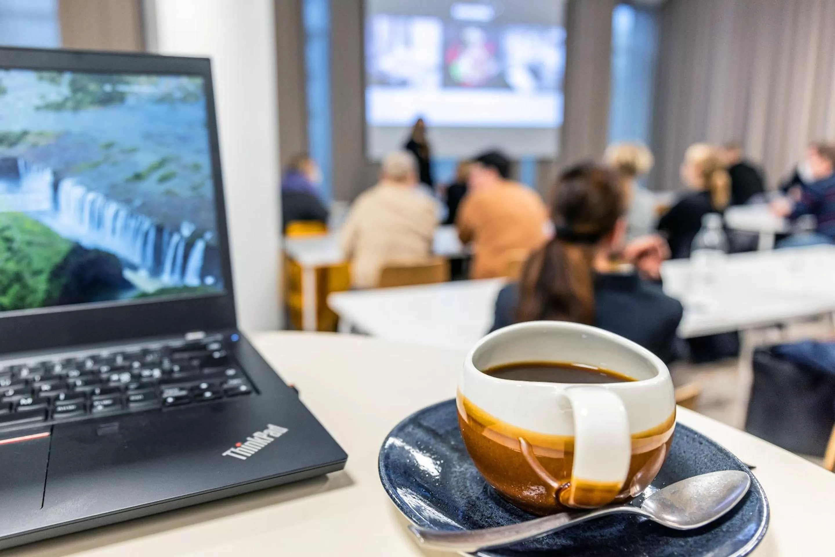 Business facilities in Hotel Matts