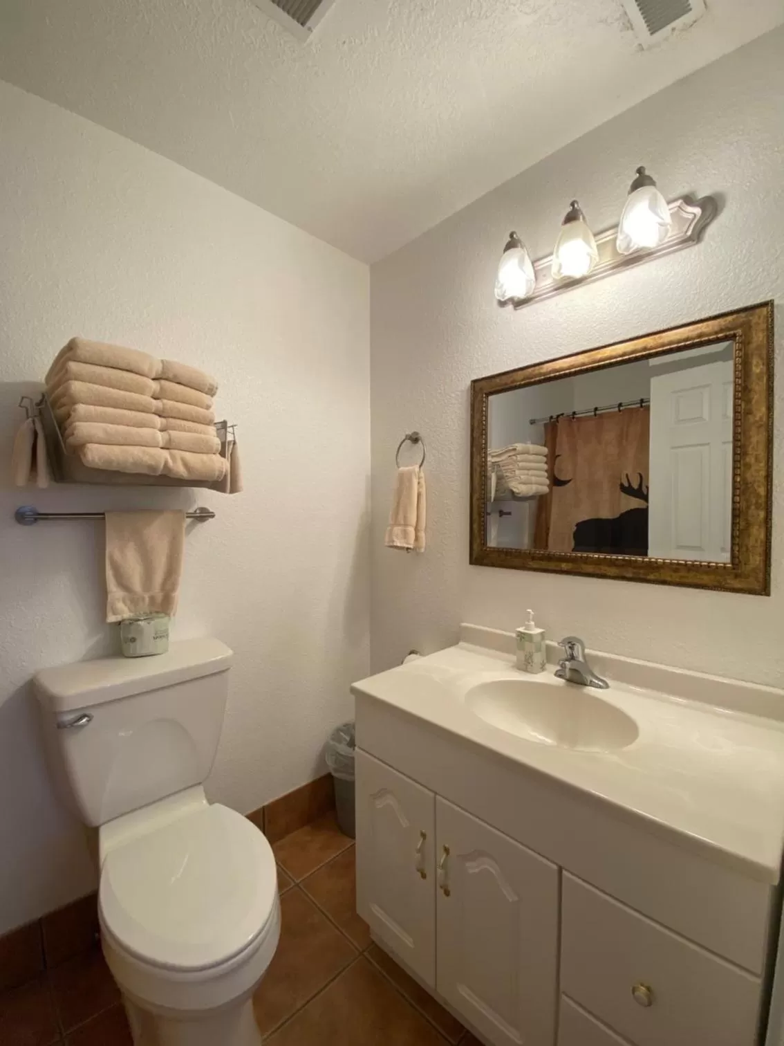 Bathroom in THE SNUGGLE INN