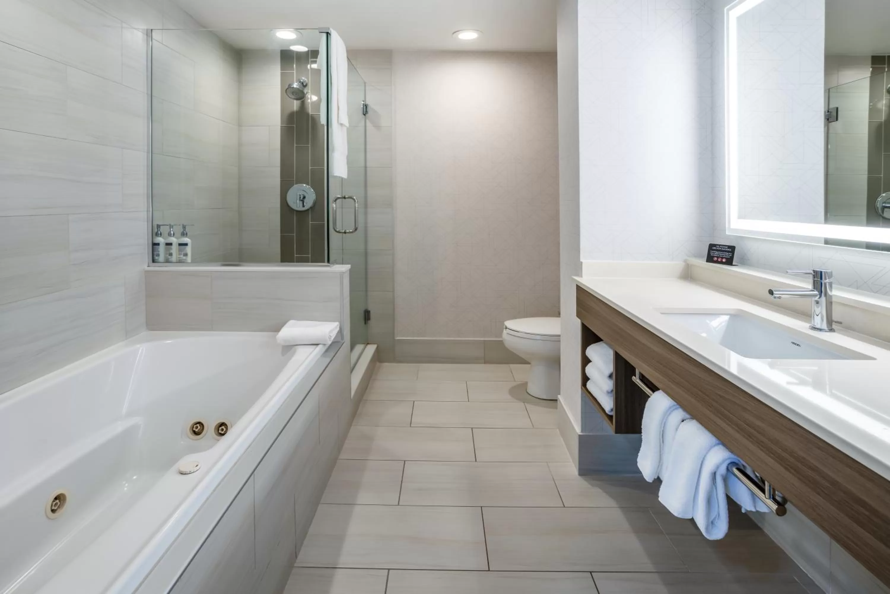 Bathroom in Holiday Inn Express and Suites Tampa I-75 at Bruce B. Downs by IHG