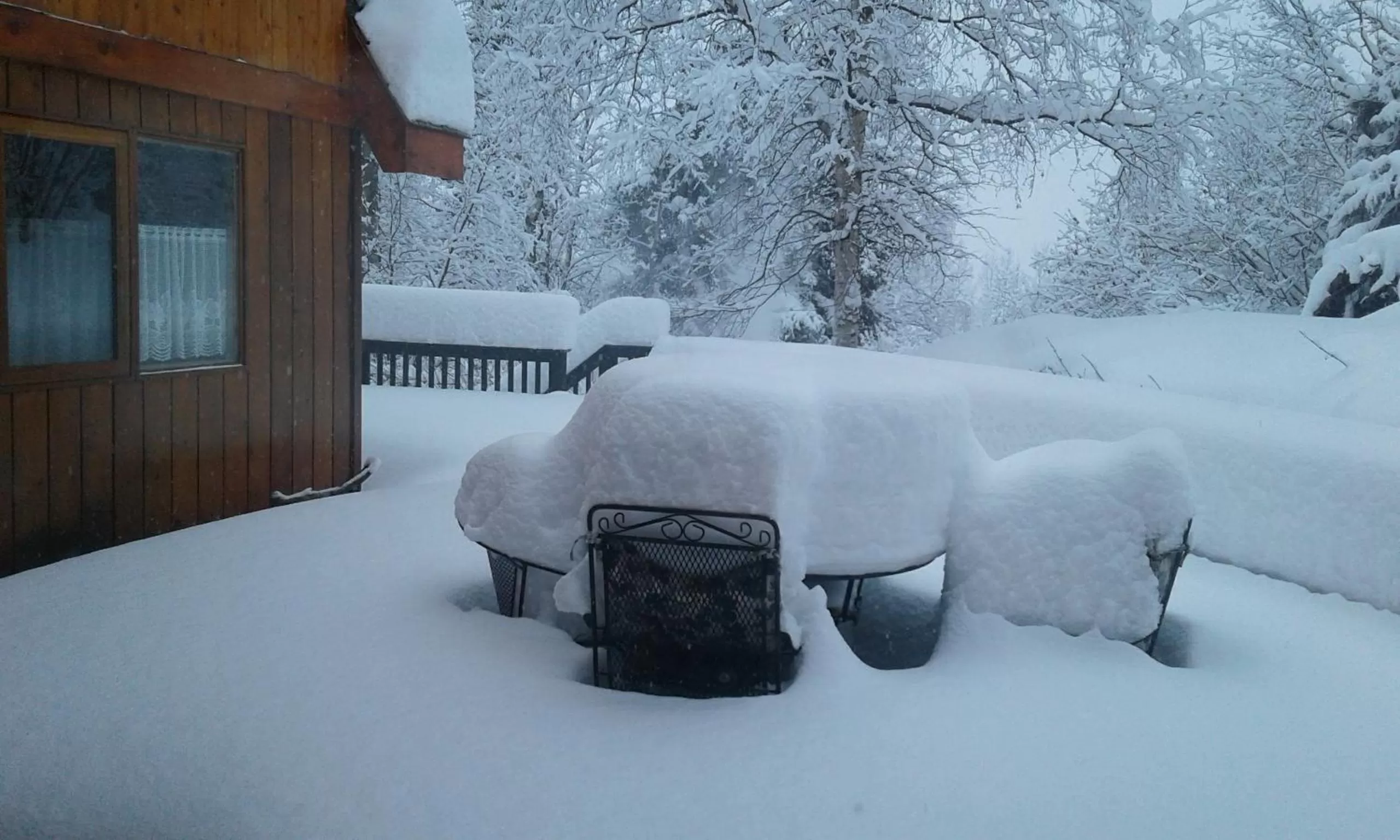 Winter in Alaska Chalet Bed & Breakfast