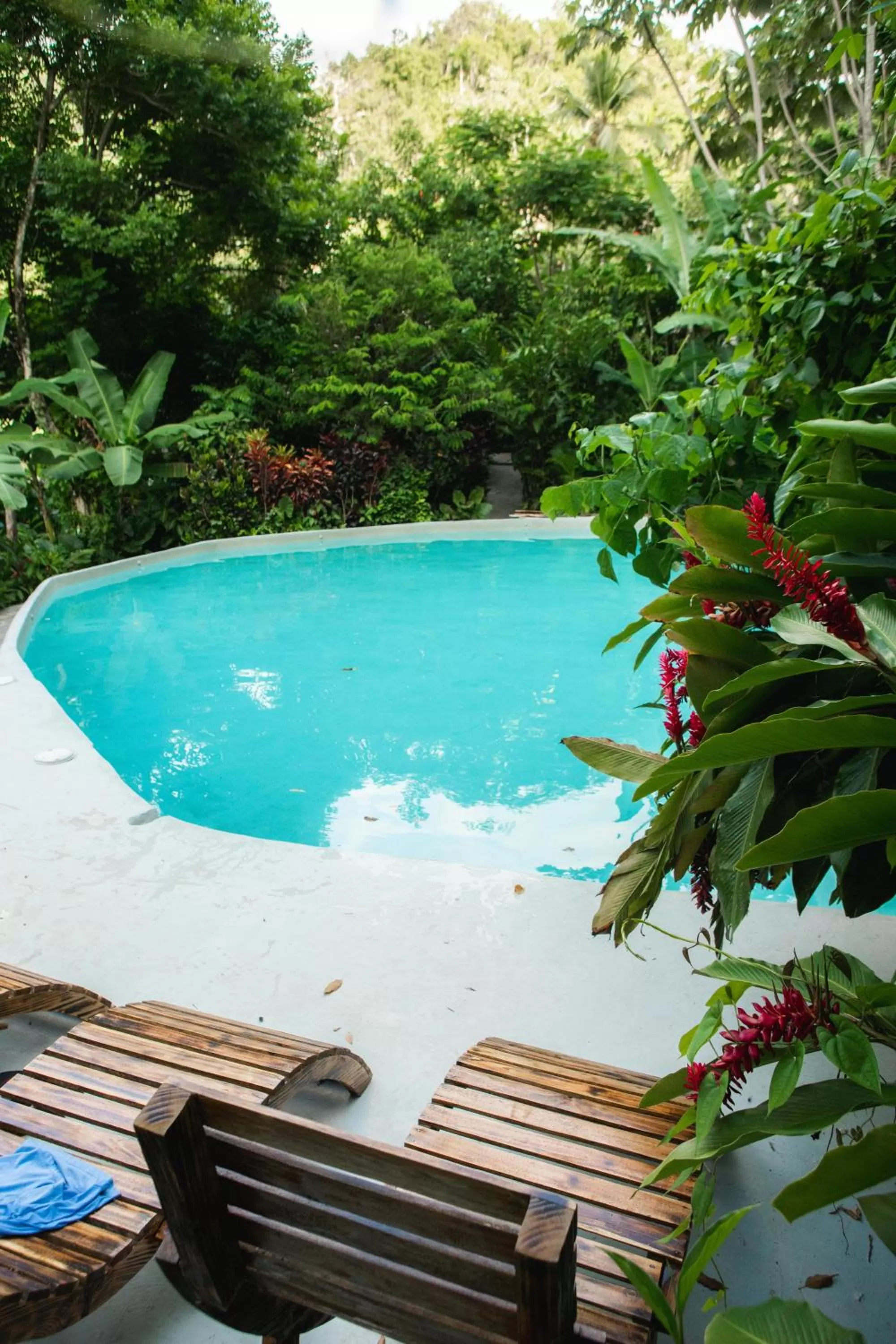 Pool view in Dominican Tree House Village