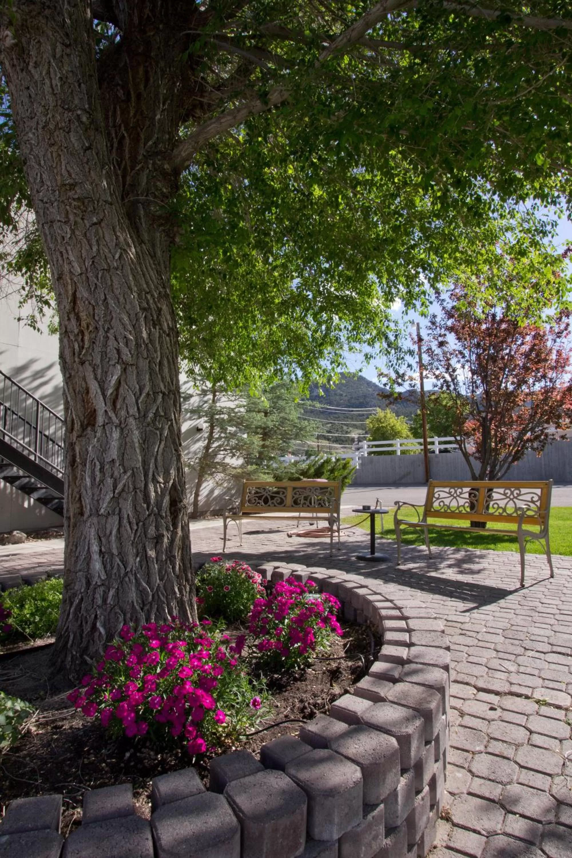 View (from property/room), Garden in Jailhouse Motel and Casino
