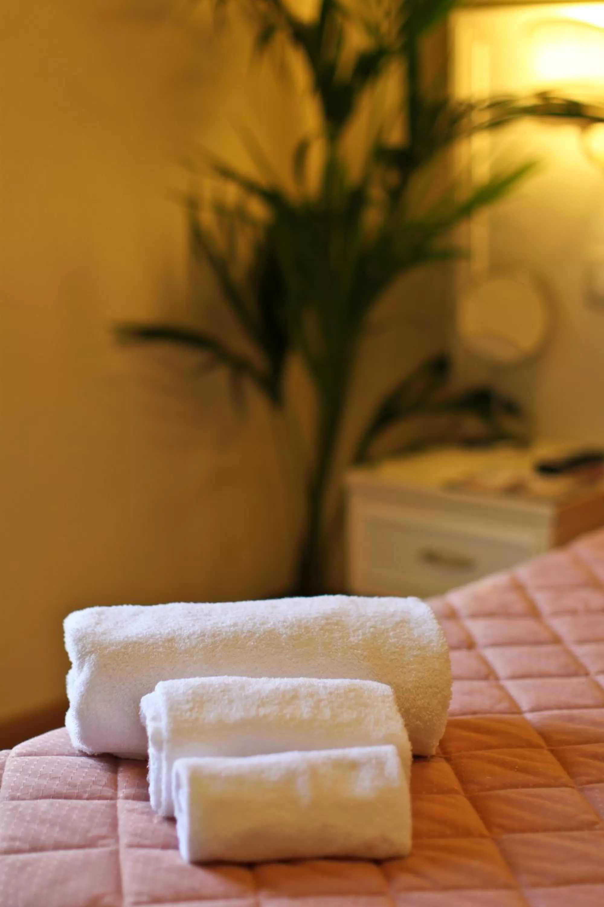 Other in Hotel Il Monte