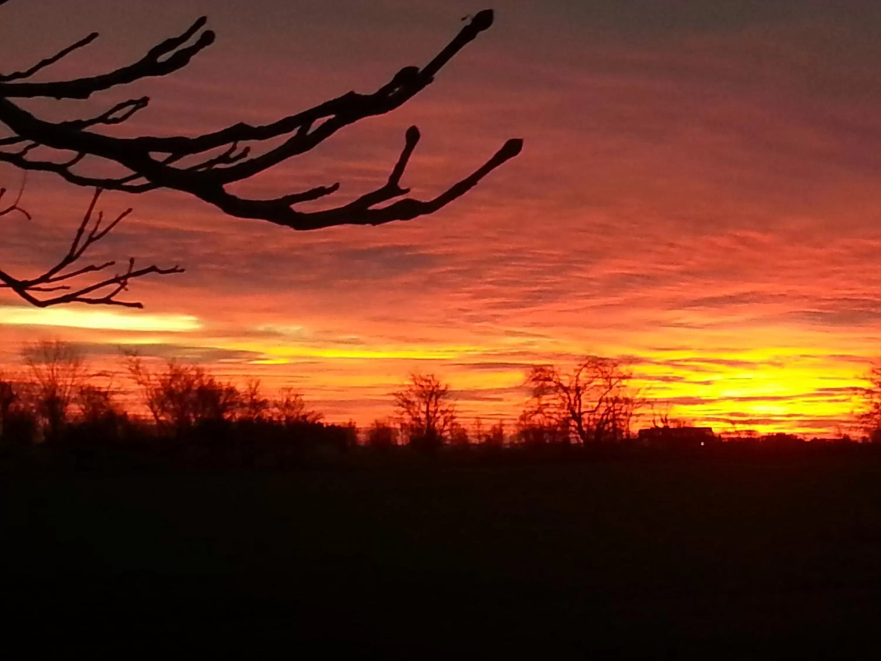 Natural landscape in Roskilde B&B