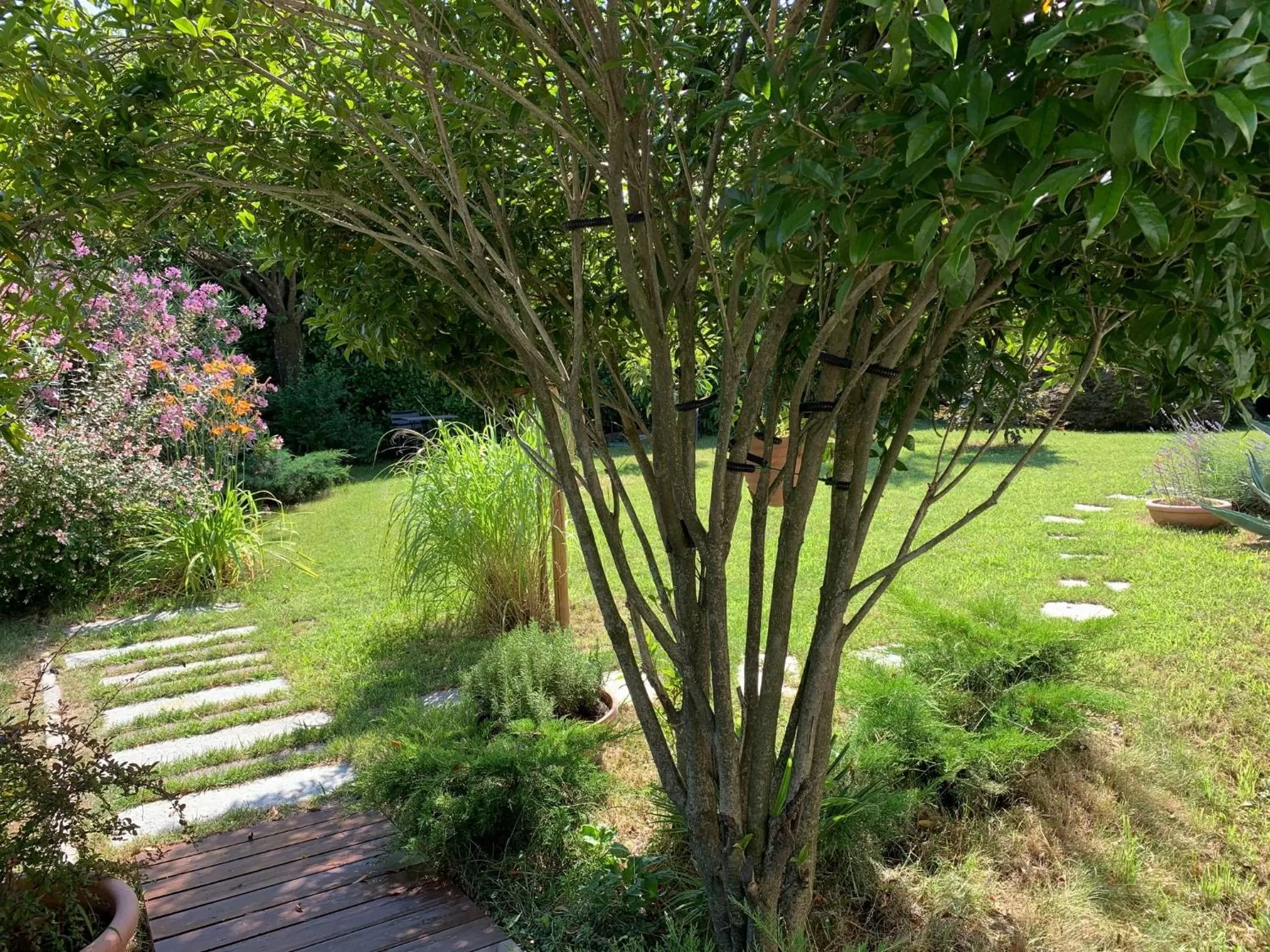 Spring in CASABELLA-LAGO MAGGIORE