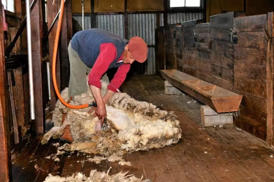 Hostería El Galpón Del Glaciar