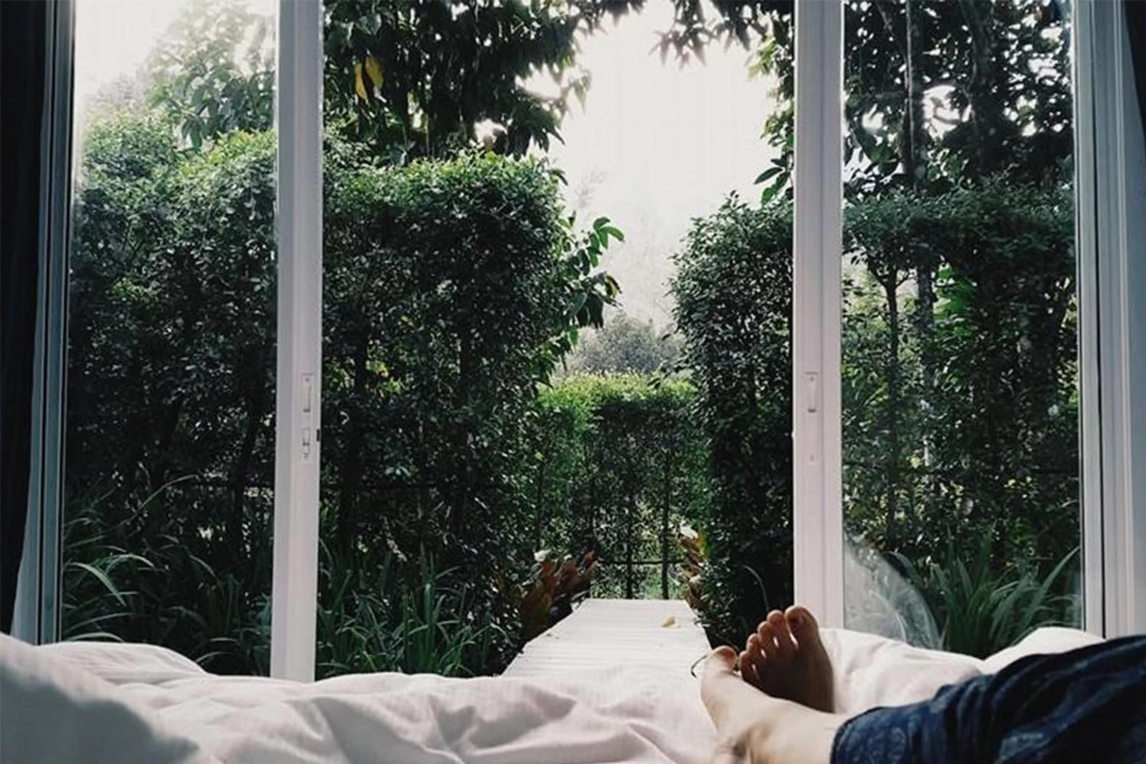 View (from property/room) in The Hidden Resort