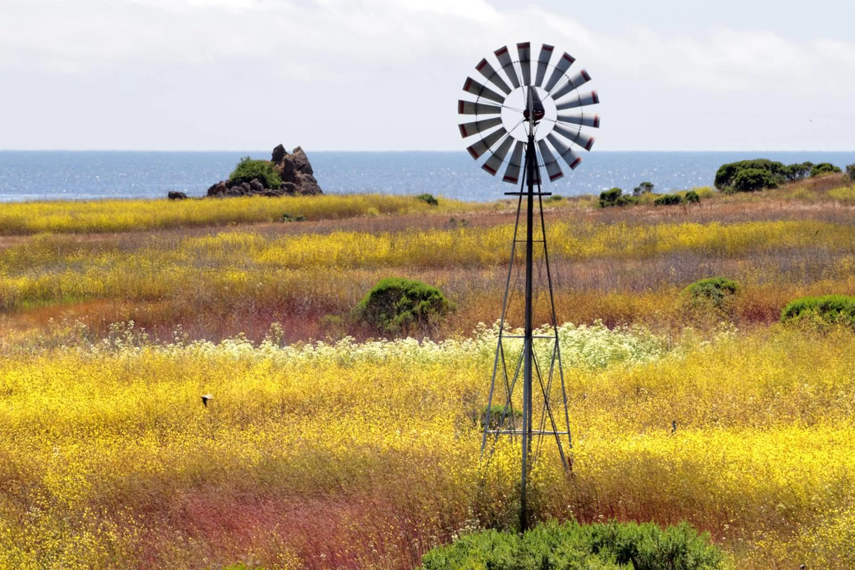 Natural landscape in Inn at San Luis Obispo