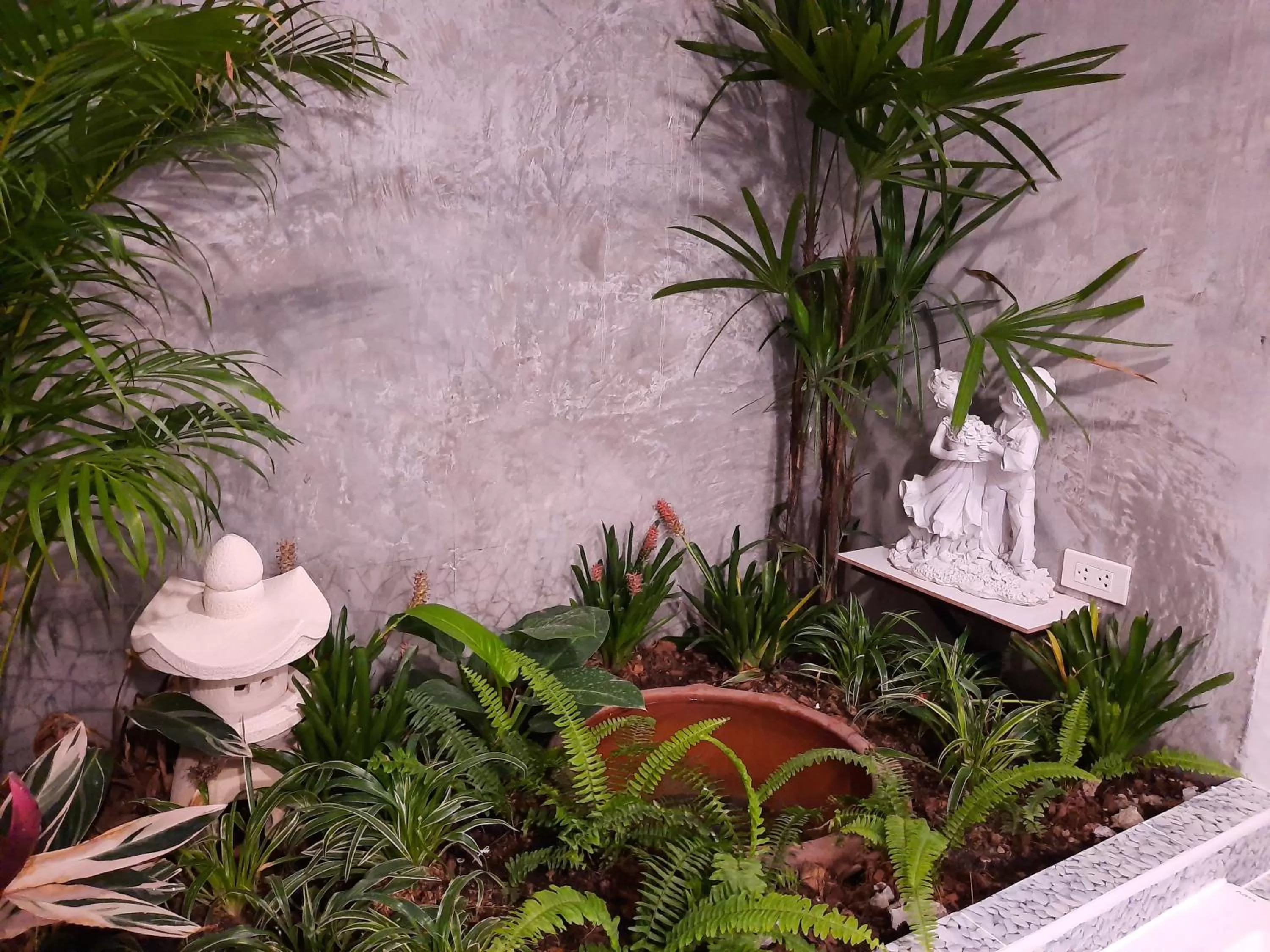 Fancy Carp Resort Hua-Hin