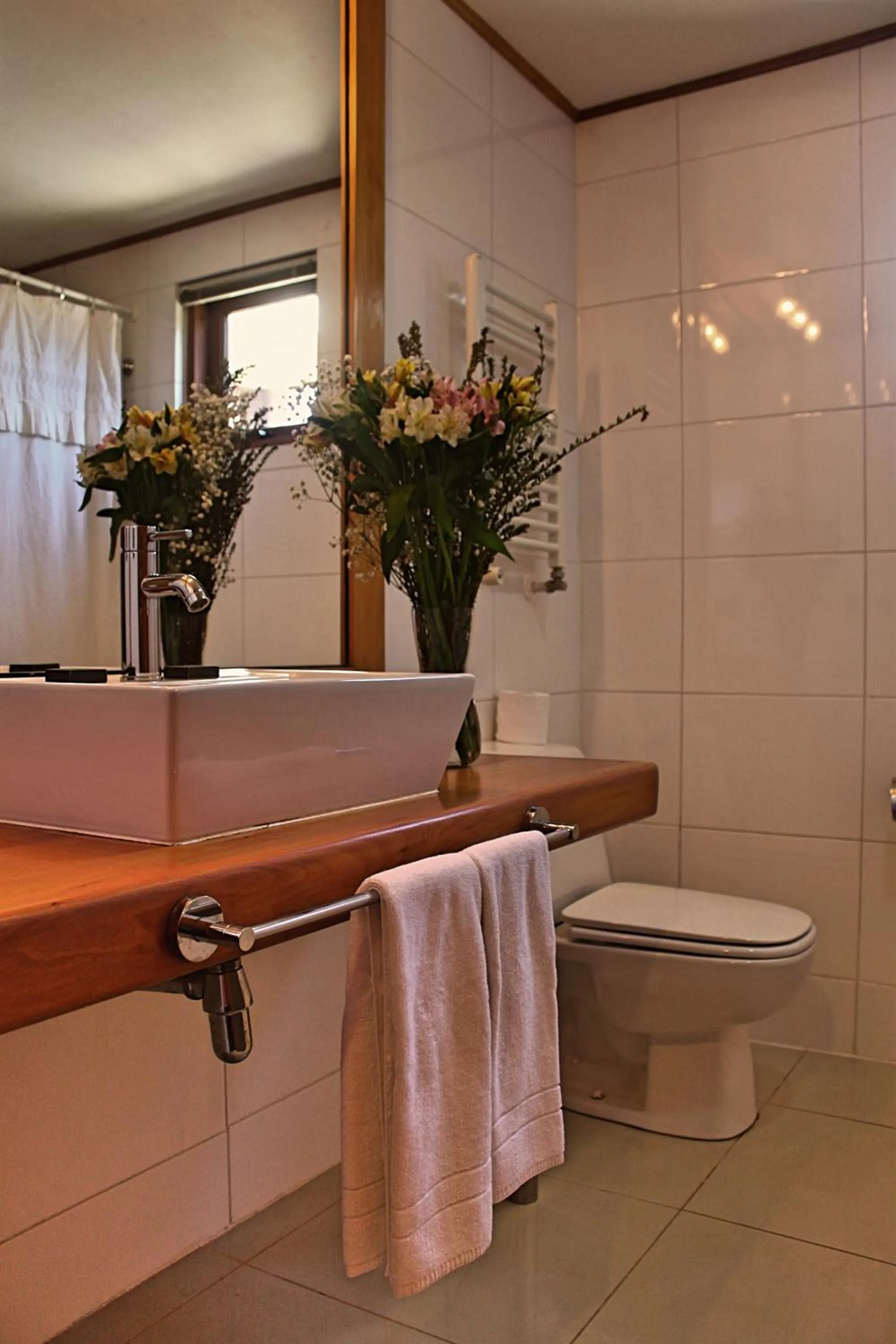 Day in Hotel Puelche