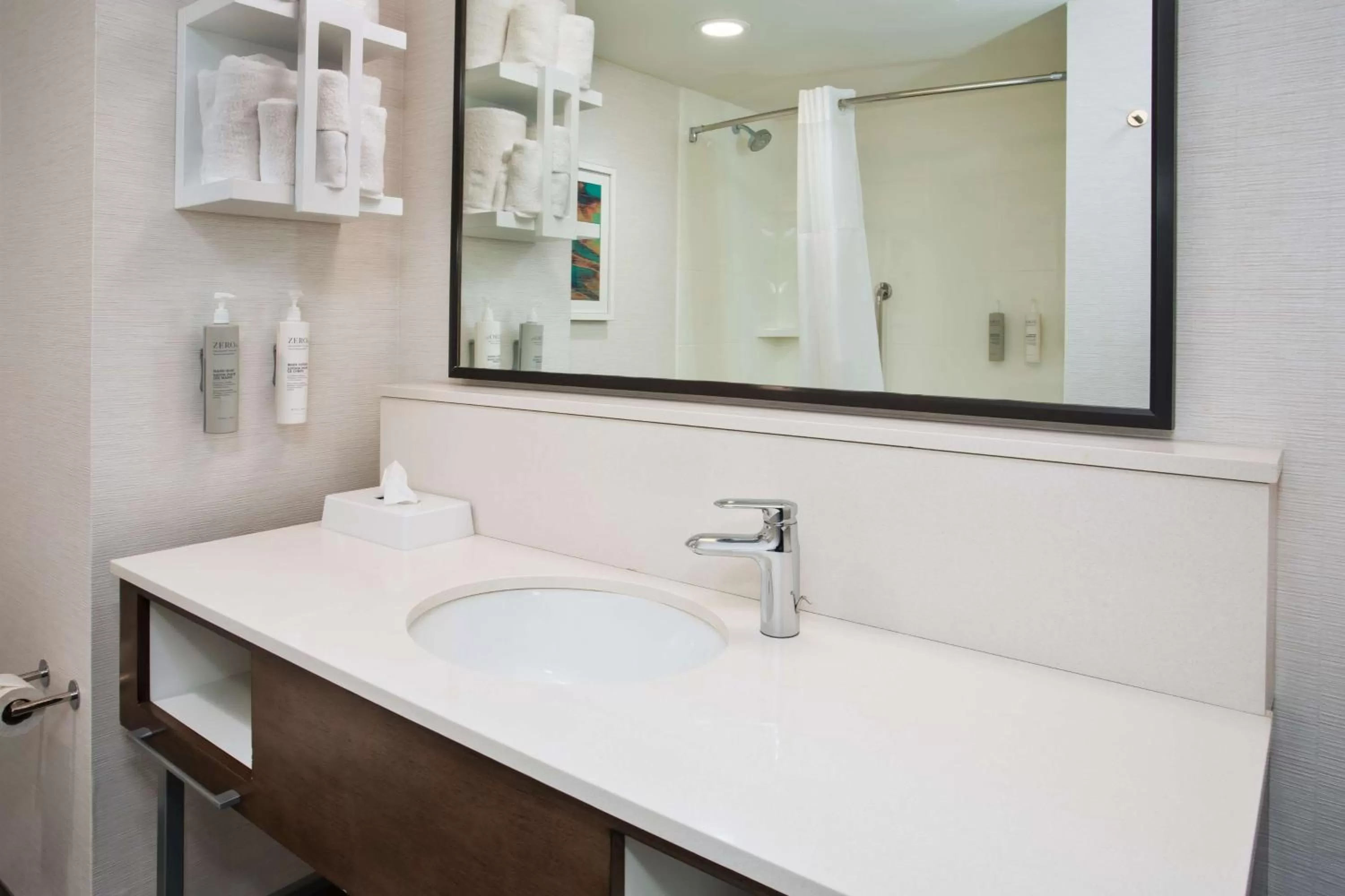 Bathroom in Hampton Inn Union City, Tn