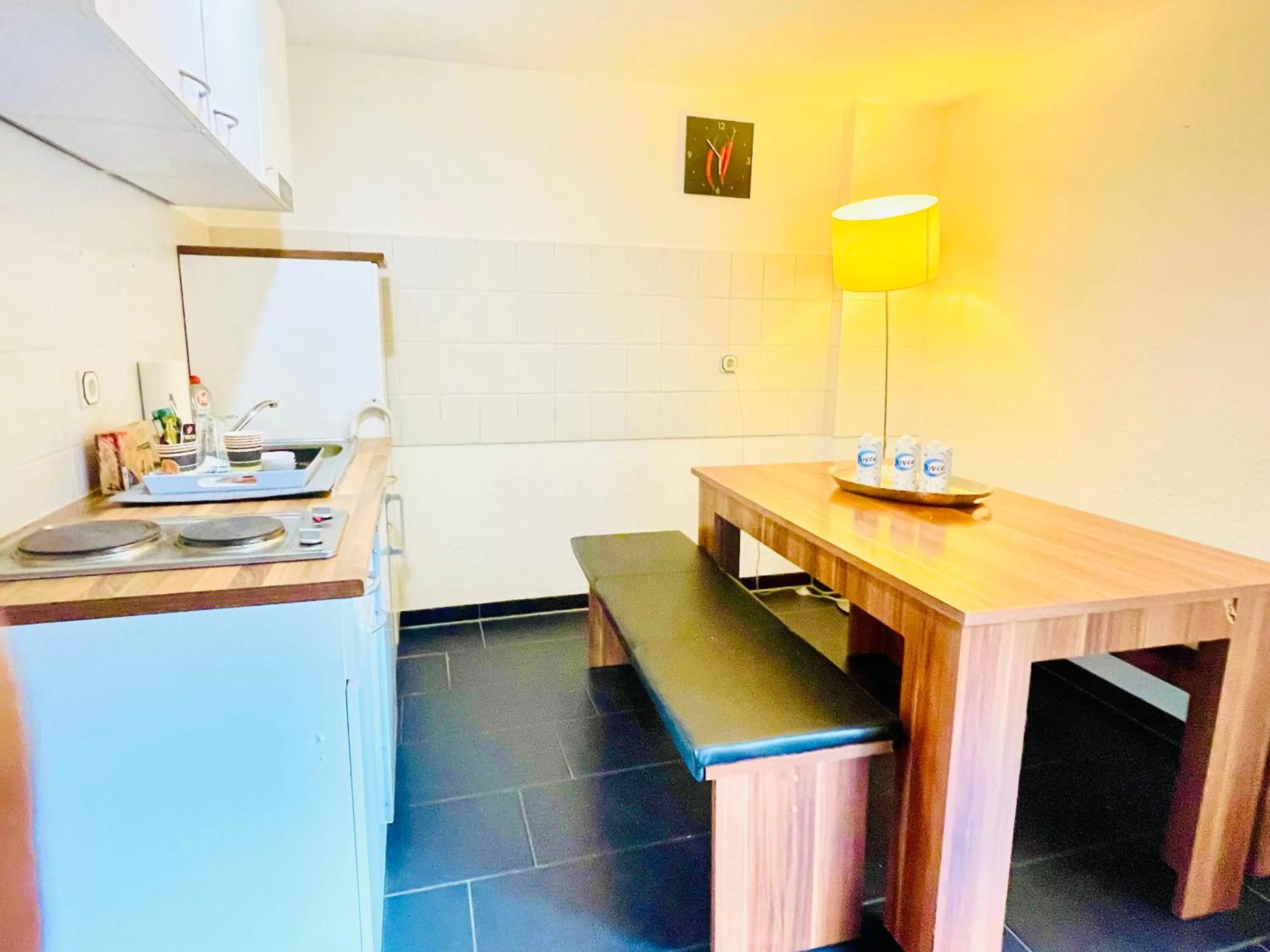 Kitchen/Kitchenette in Saale, Marktplatz Zentrum, Apartmenthaus am Dom von Plant Room