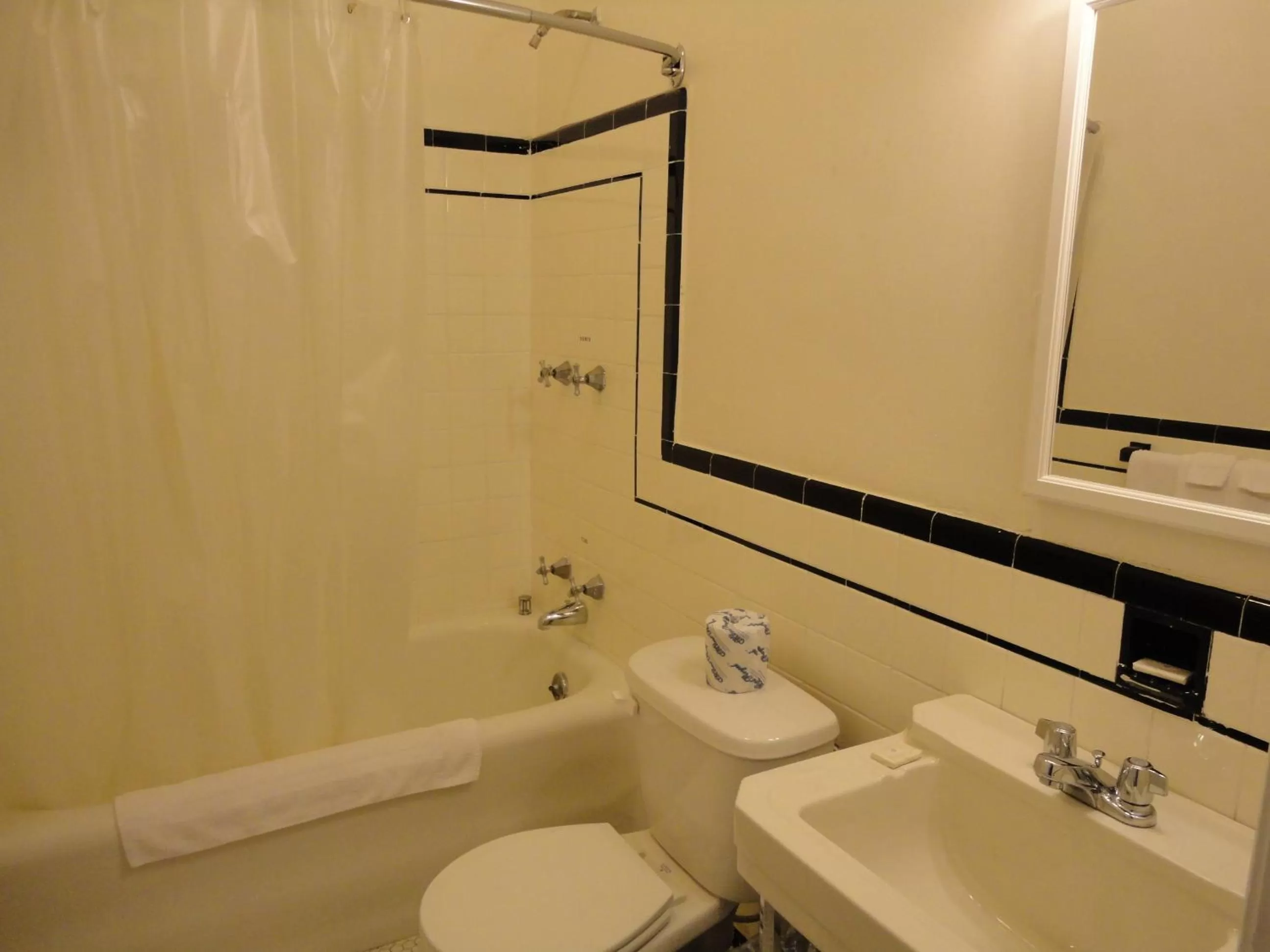 Shower in Lenox Hotel and Suites
