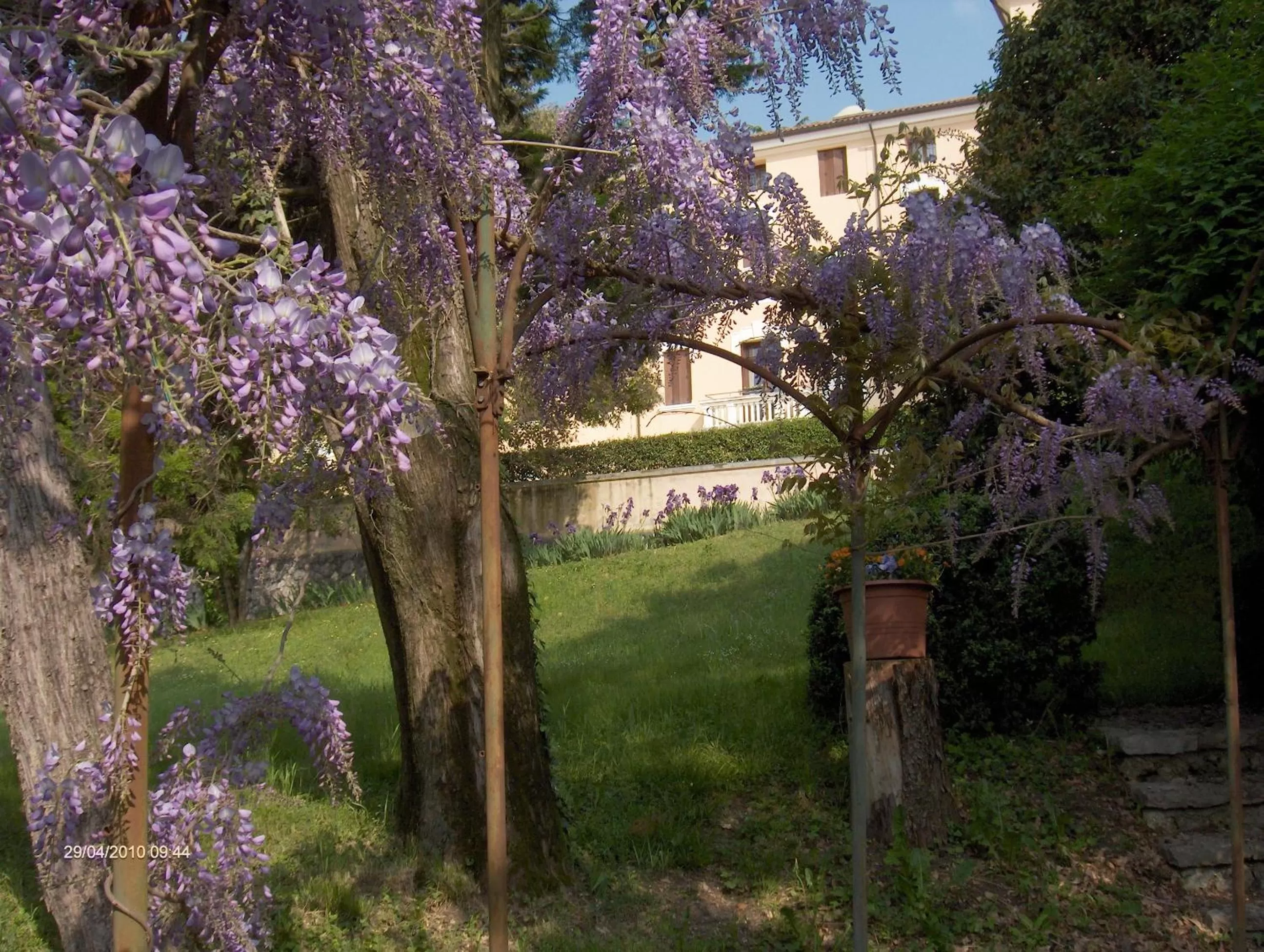 Facade/entrance in Villa Scalabrini