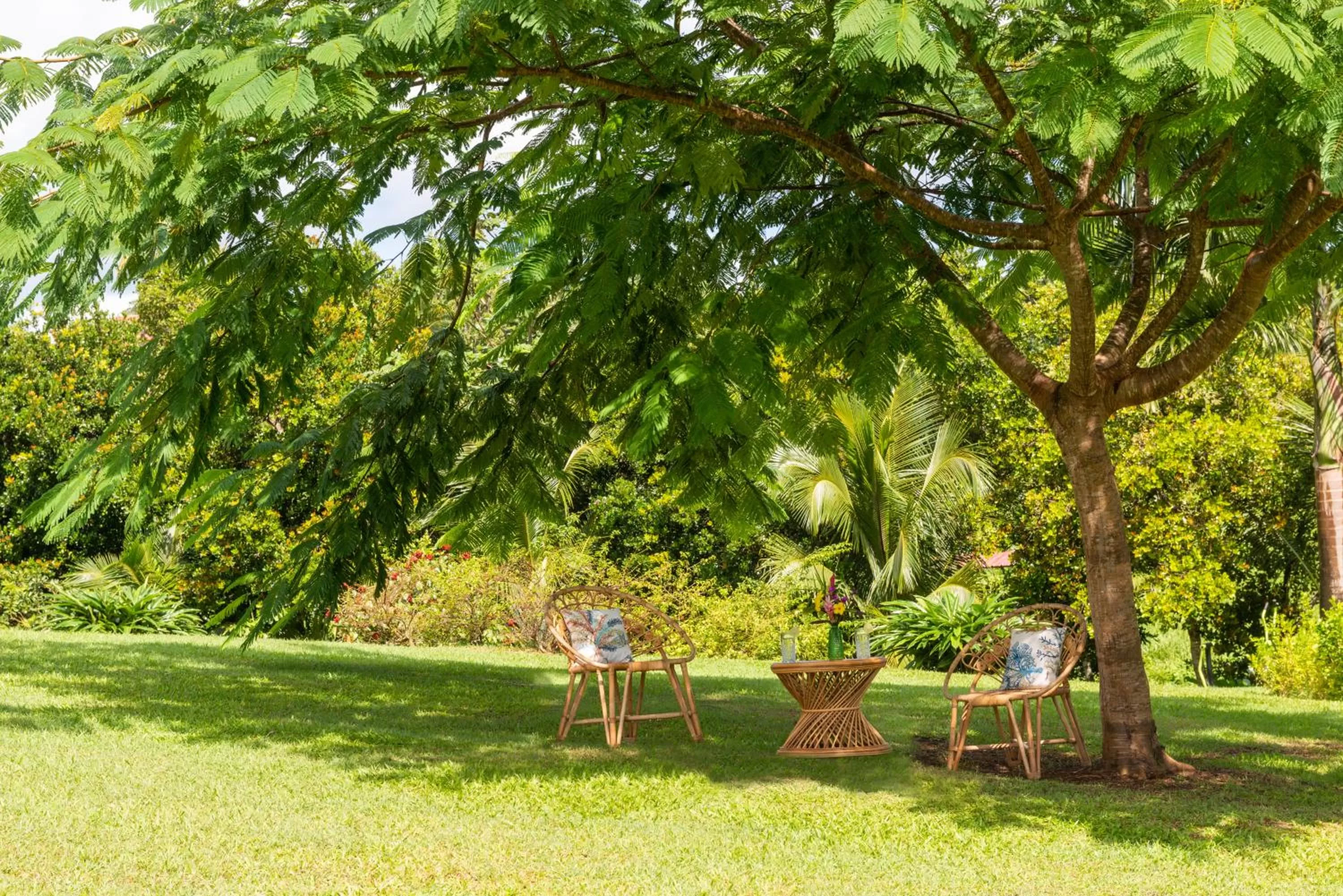 Garden in Habitation Saint Charles - Hôtel de Charme & Spa