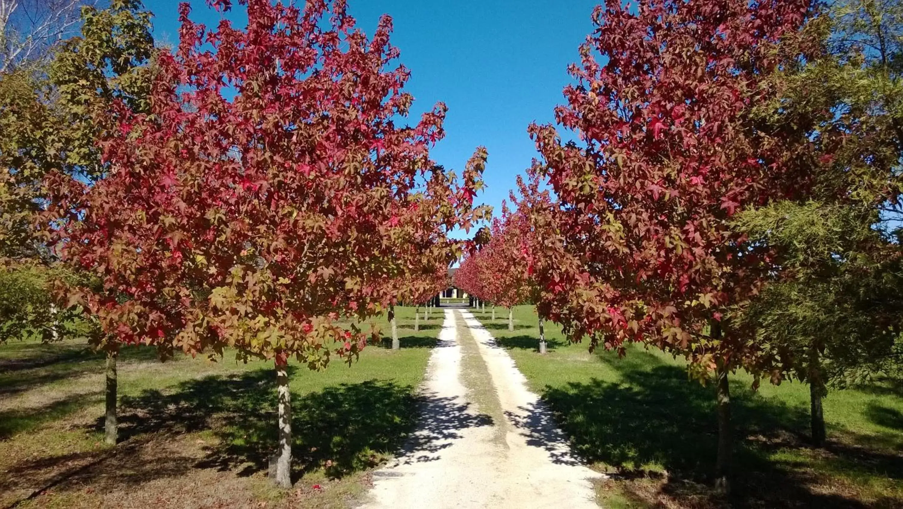 Korbaylen Estate Korbaylen Estate