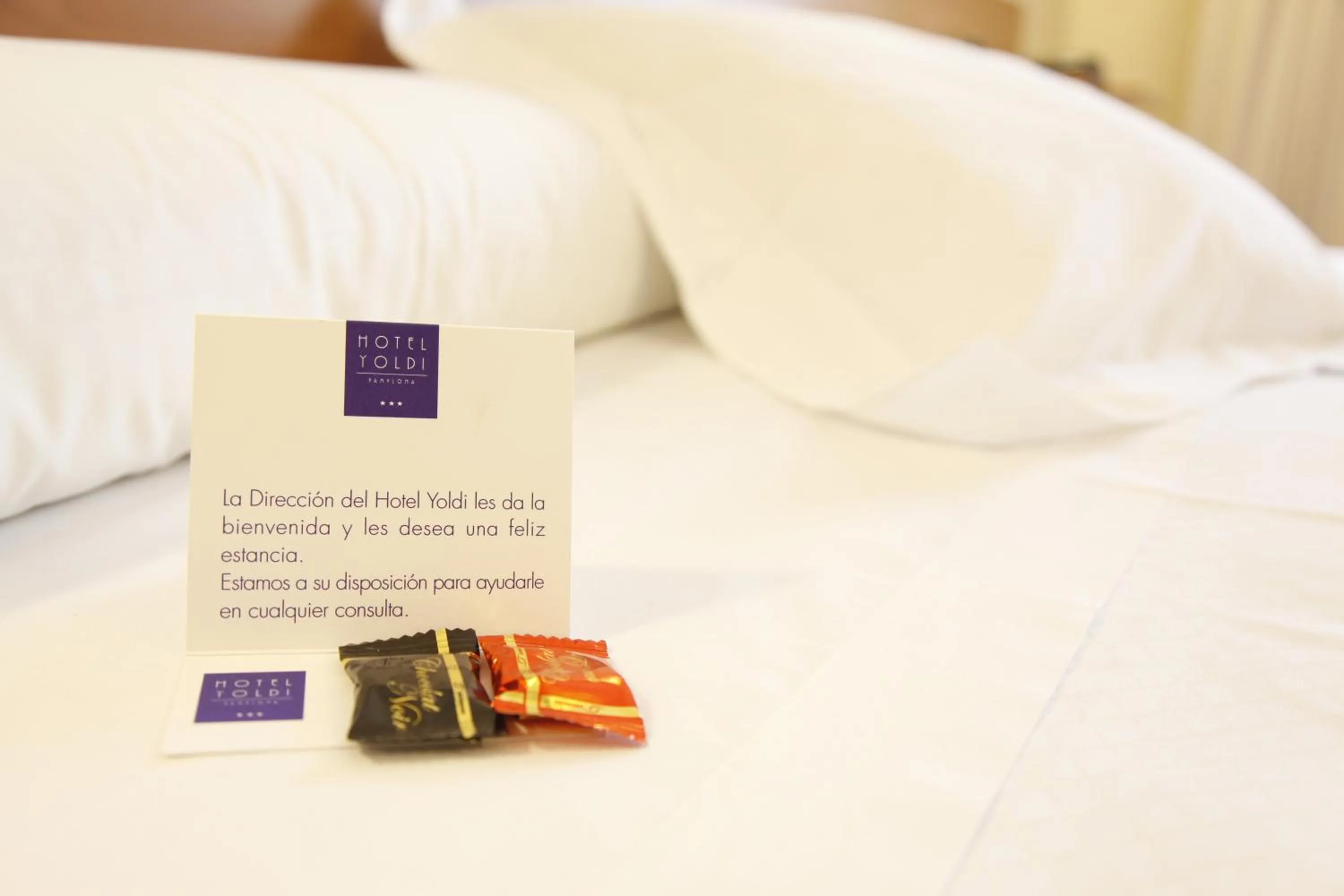 Decorative detail, Bed in Hotel Yoldi