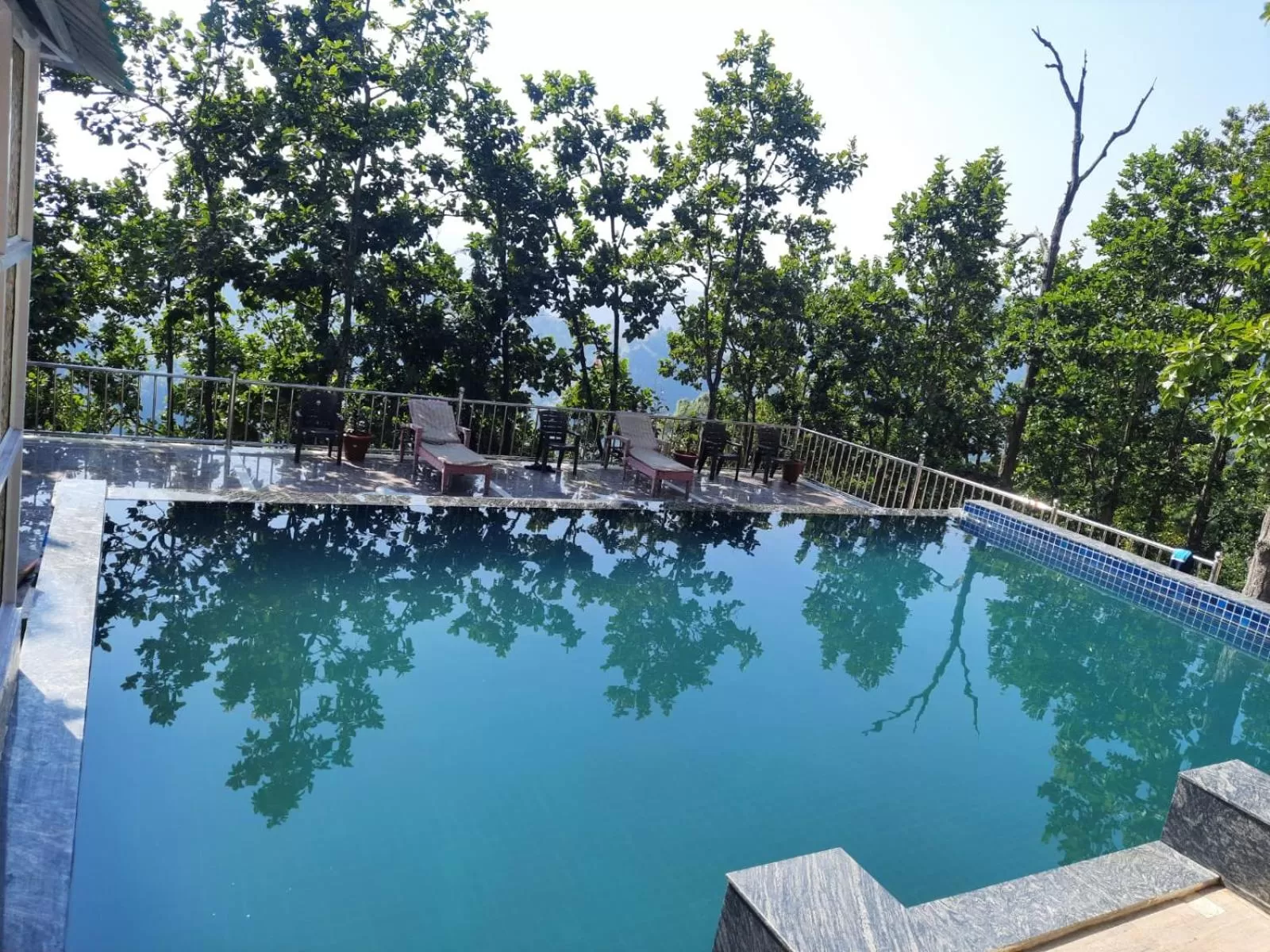 Swimming pool in Blue Pine Orchards