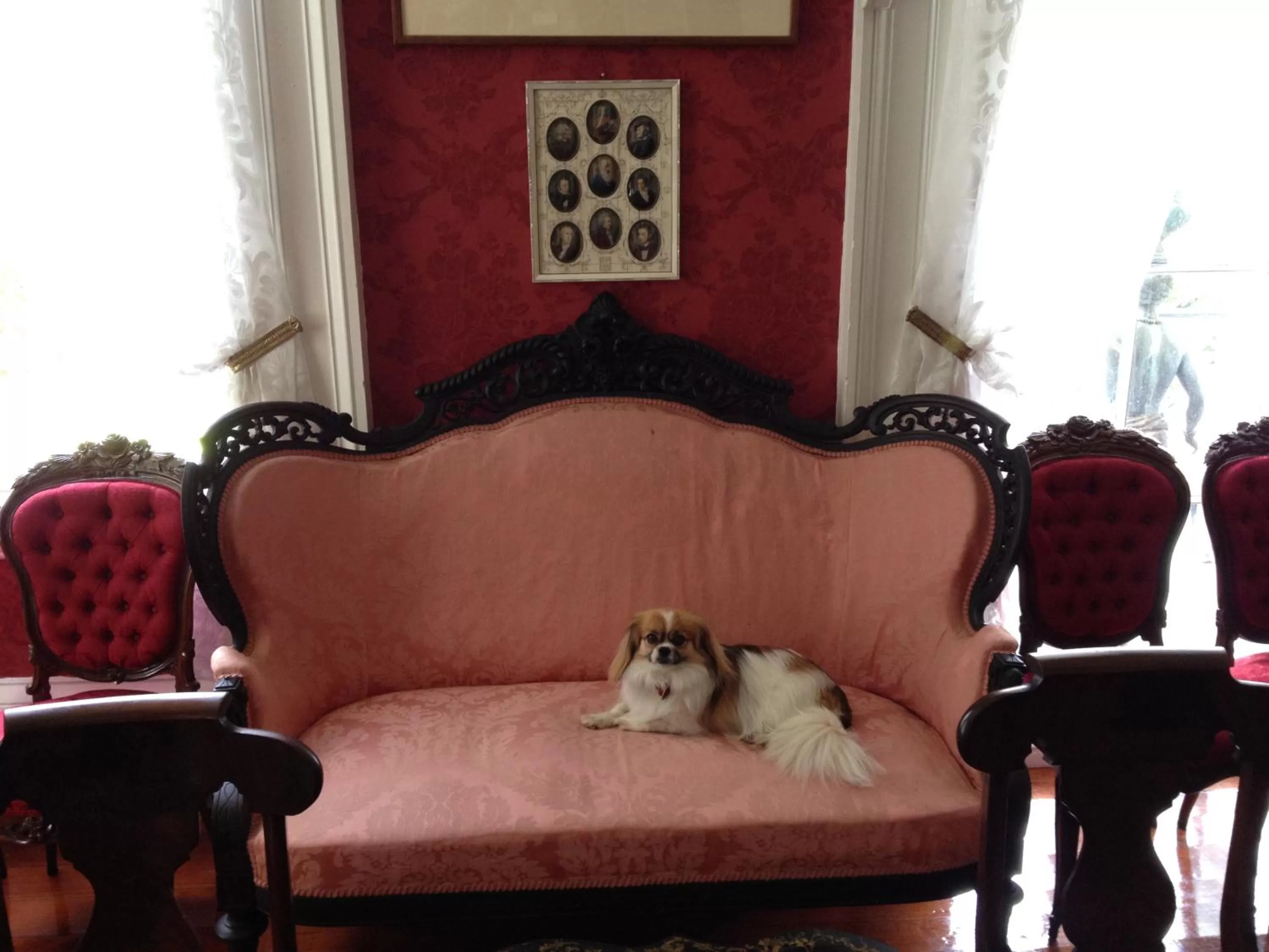 Decorative detail, Pets in Stone House Musical B&B